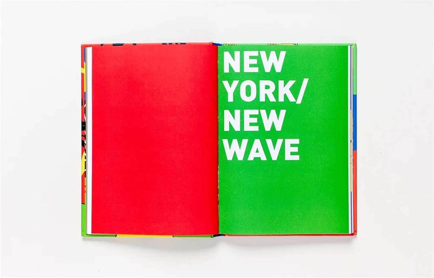 Basquiat: a Graphic Novel