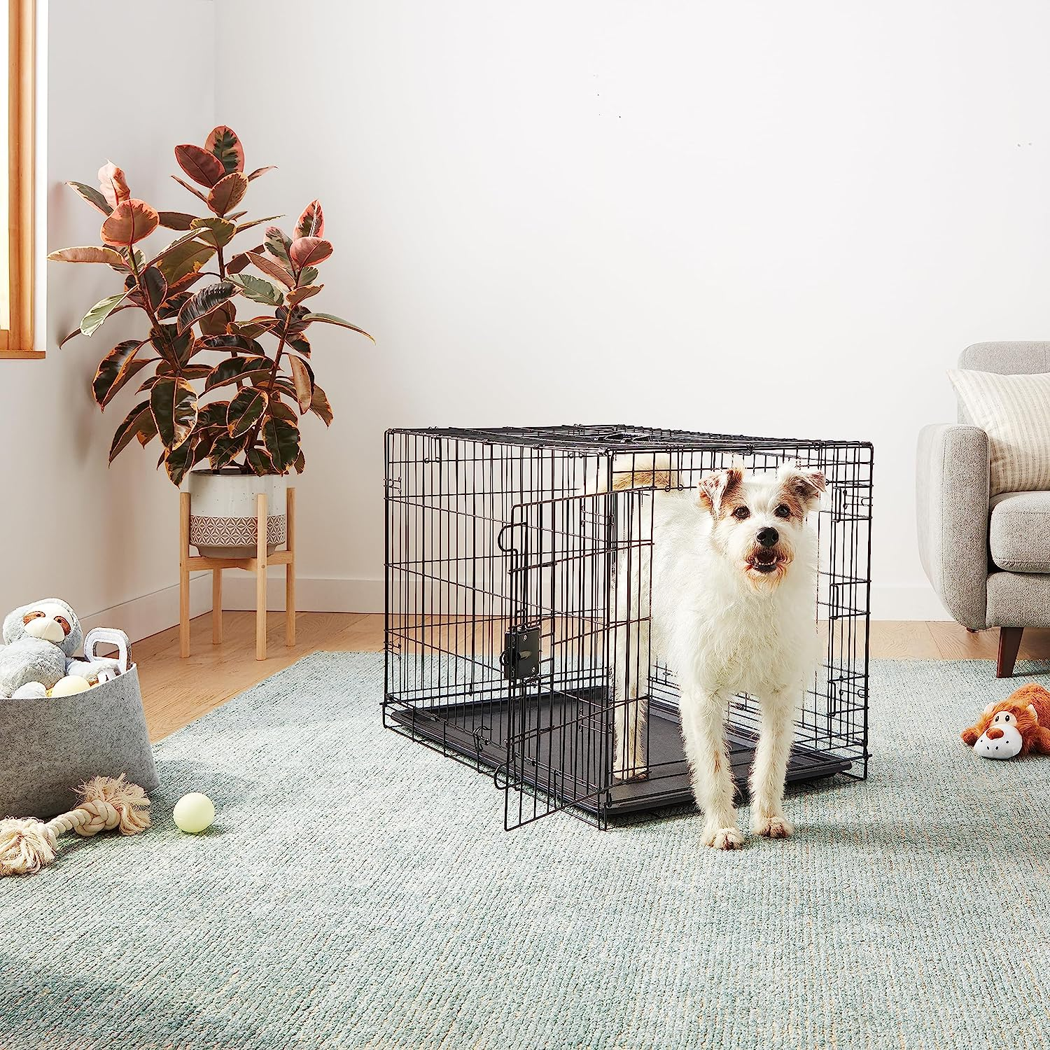 Amazon Basics Foldable Metal Wire Dog Crate with Tray, Double Door, 91Cm Length, Black image number 2