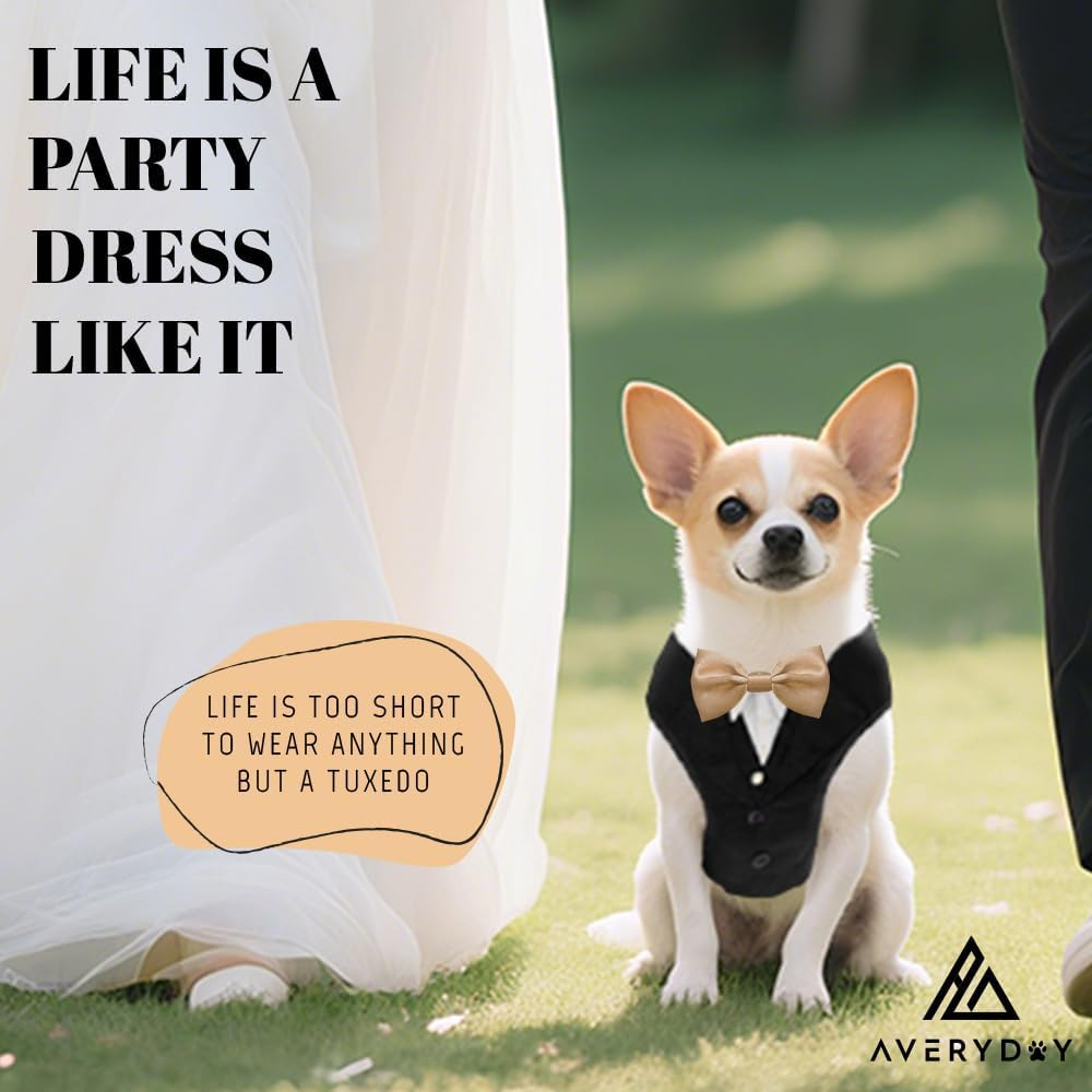 AVERYDAY XS Pet Tuxedo Harness, Wedding Costume Outfit for Small Dogs, Slim Cats and Tiny Pets with 8.3" Neck, 13-14.6" Chest, 10" Max Head Girth, Formal Suit Costume for Mini Breeds image number 6