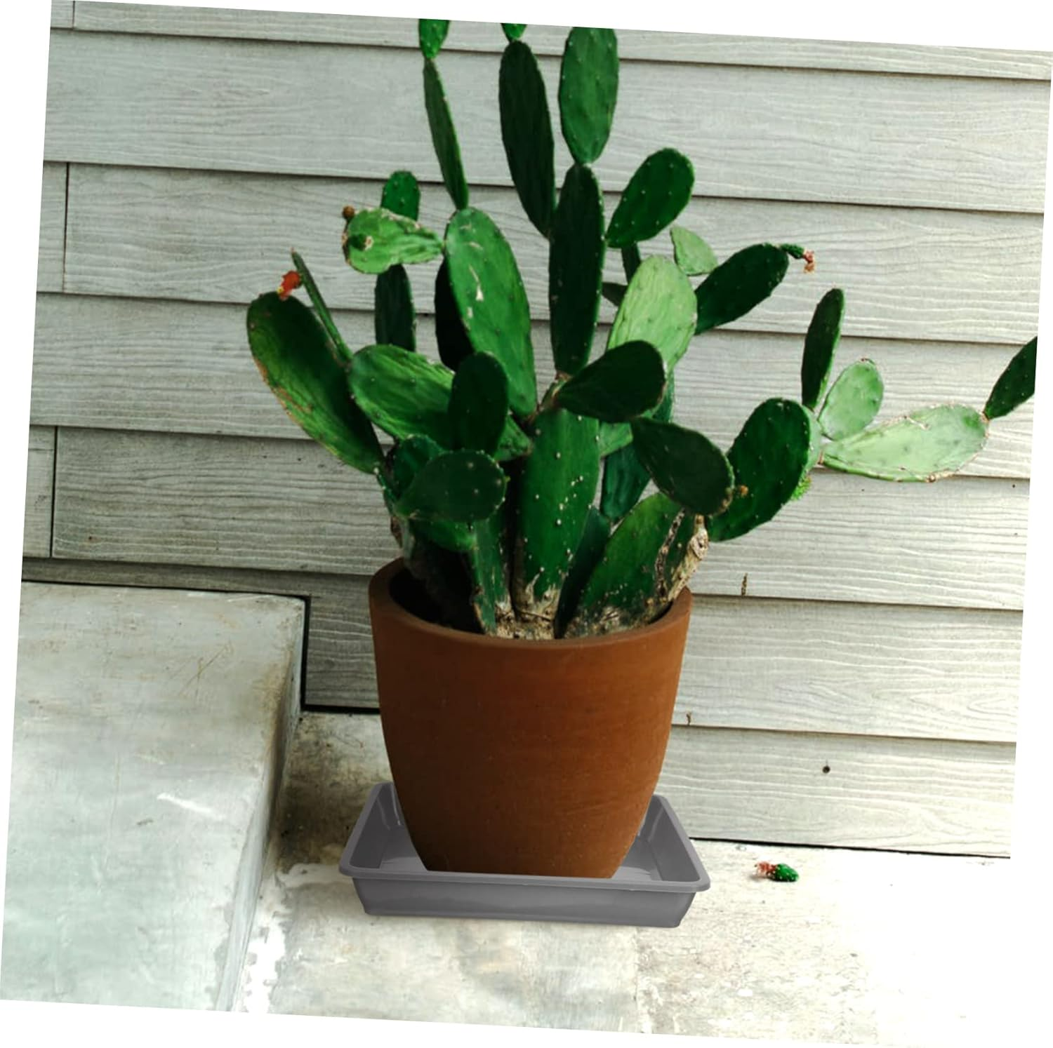 FUNOMOCYA 10Pcs Plastic Flowerpot Trays and Plant Pot Water Trays for Balcony Gardening, Square Thickened Flower Pot Bases 15Cm Grey, Drip Catcher Garden Supplies image number 4