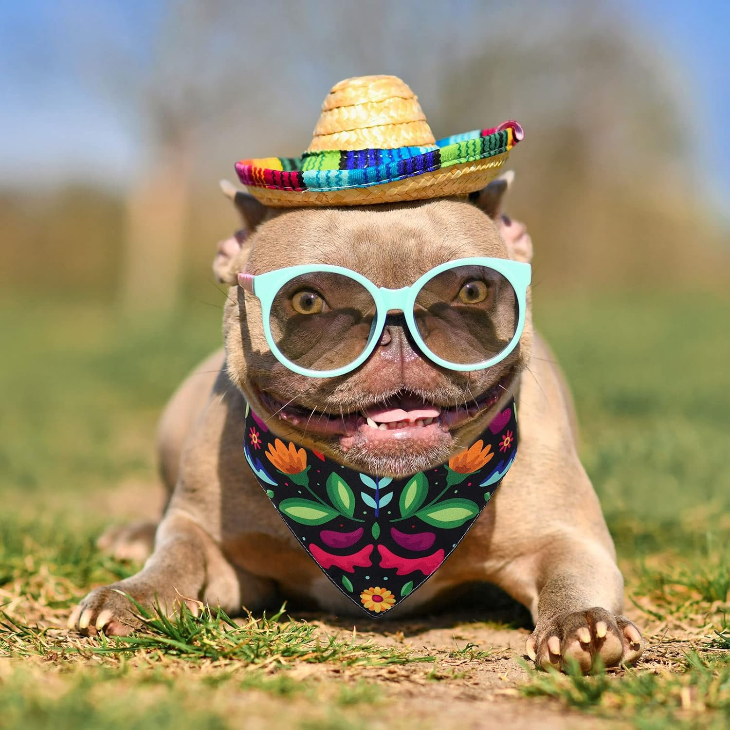 Whaline Mexican Dog Bandana Floral Dog Bandana Cinco De Mayo Fiesta Pet Scarf Double-Sided Adjustable White Black Flower Pet Neckerchief for Small Medium Large Cat Dog Carnival Accessories, 2 Pack image number 3