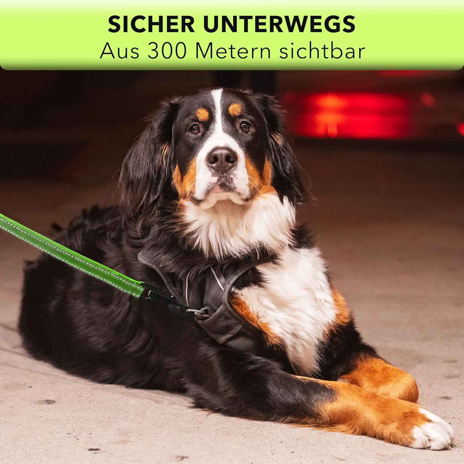 AVANA Reflective Dog Lead with Integrated Short Lead, 2 Hand-Friendly Padded Hand Loops, 1.5 M Long Reflector Nylon Lead for Large and Medium Dogs, Neon Green - Neon Green image number 2