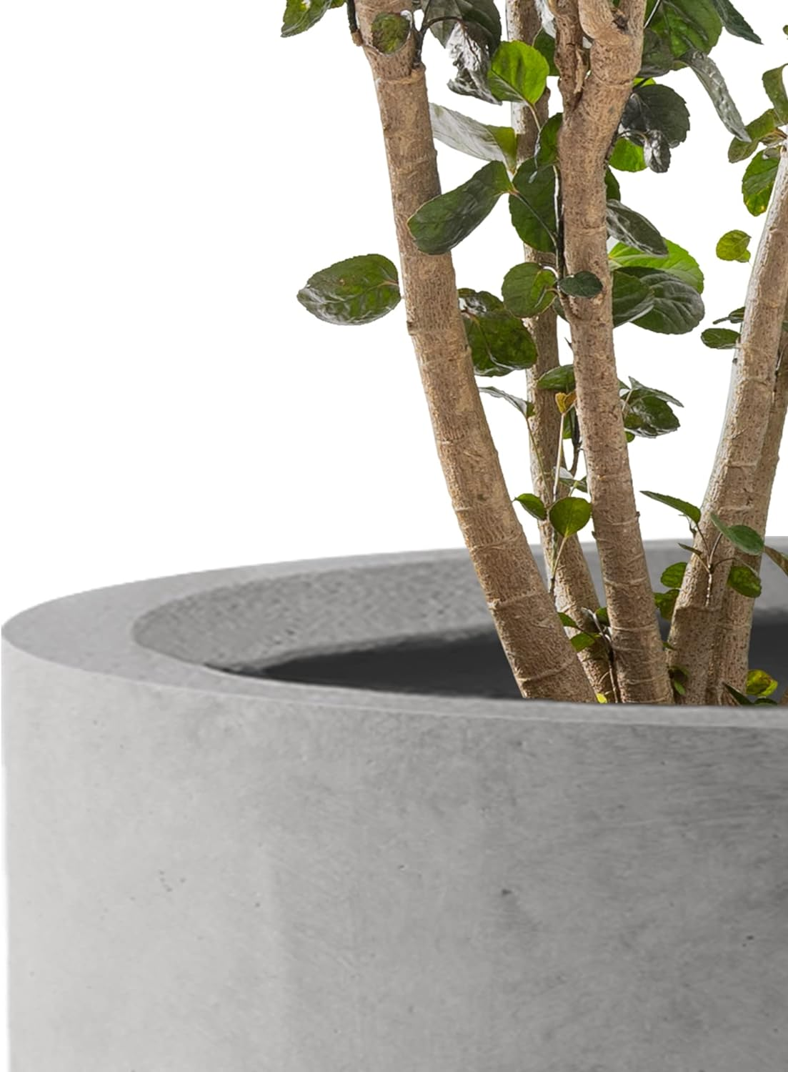 Kante 12.6" Dia Concrete Outdoor Modern Cylindrical Planters Set of 3, Natural Concrete image number 1