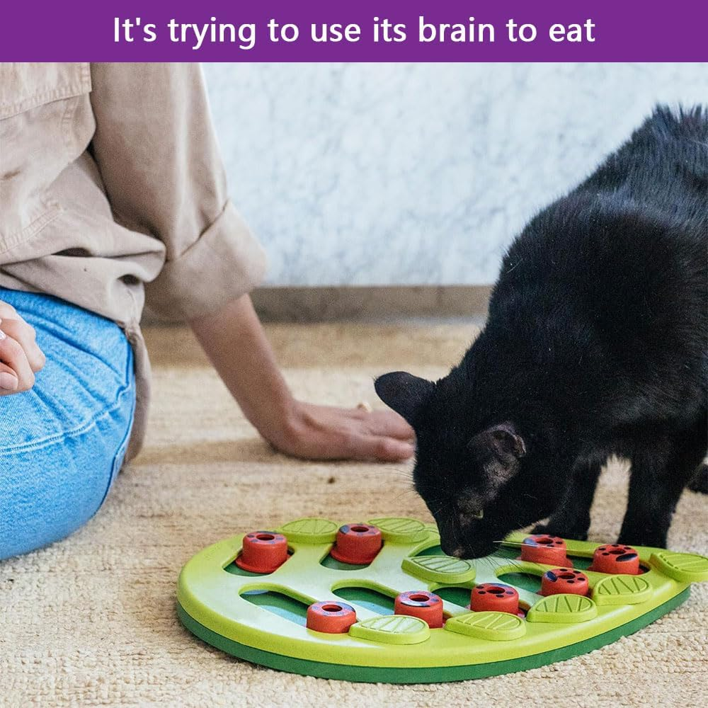 Interactive Cat Toy &ndash; Treat Dispensing Puzzle Feeder for Cats, Mental Enrichment Toy, Includes Pet Safe Meal-Dispensing Ball (Green) image number 6