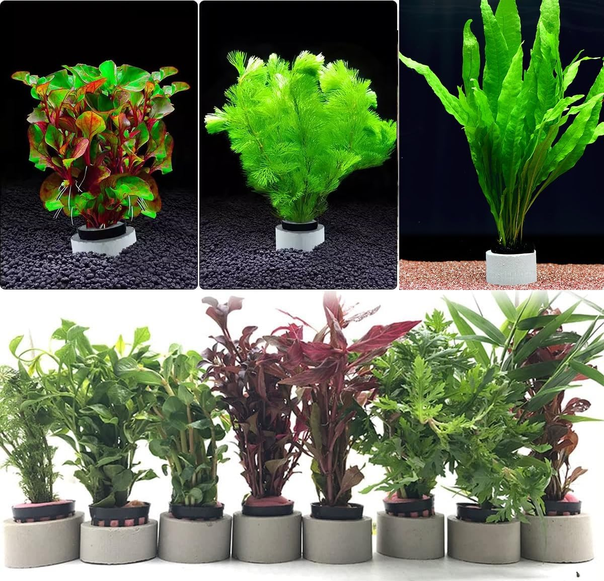 15 Pcs Aquarium Planting Baskets Rings, Aquatic Plants Fixed Ring Set, Aquatic Plant Planting Basket Flower Pots Aquarium Plant Weights Pot Anti-Floating Aquarium Decoration Fish Tank Accessories image number 5