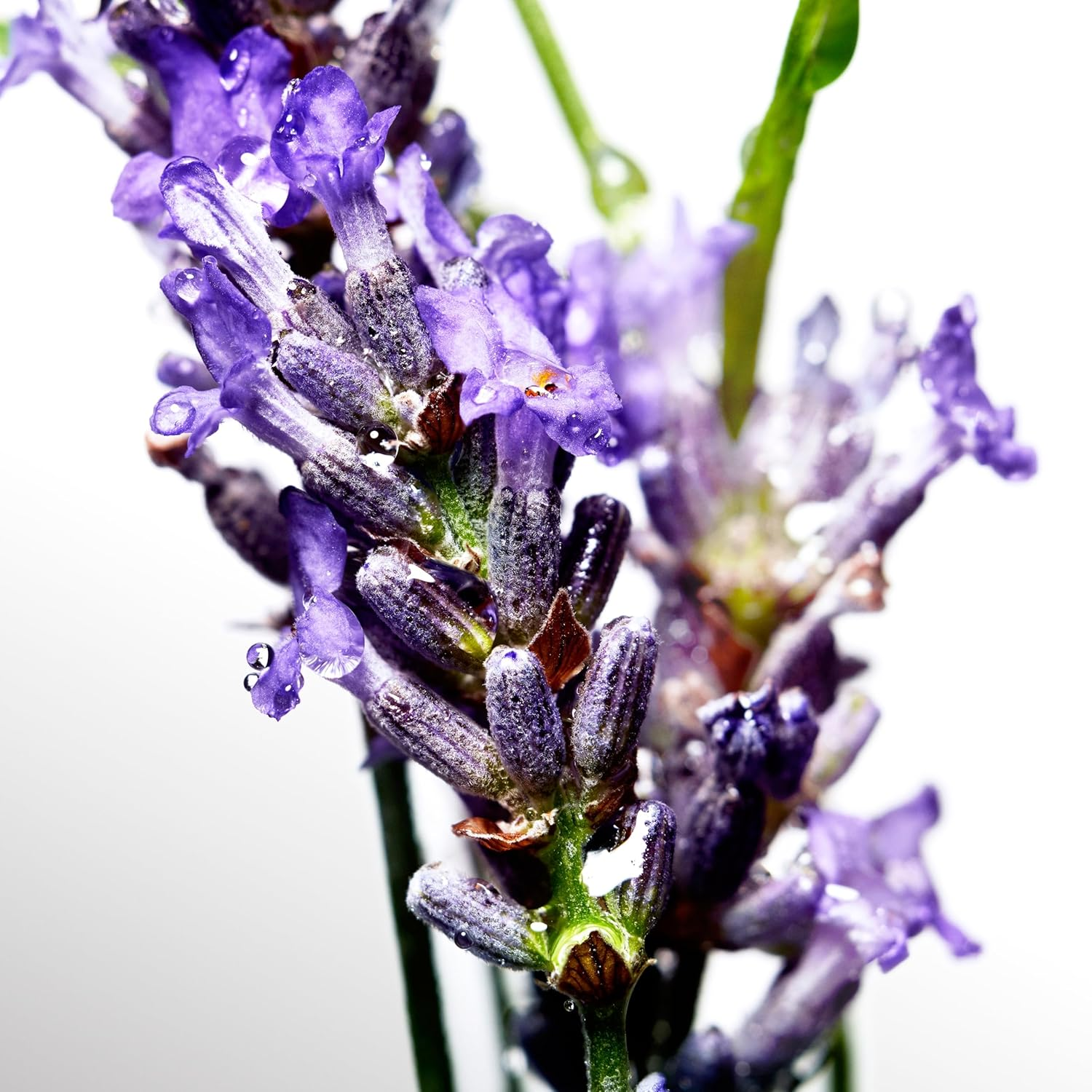 Davidoff Cool Water Spray 150Ml image number 1