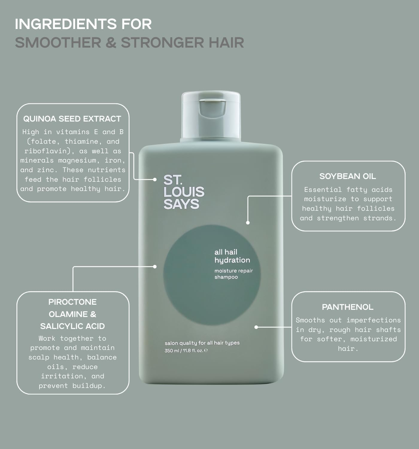 All Hail Hydration Shampoo &ndash; Moisturising & Nourishing Shampoo for Dry, Frizzy, Damaged Hair &ndash; Smooths, Hydrates & Strengthens &ndash; for All Hair Types image number 2
