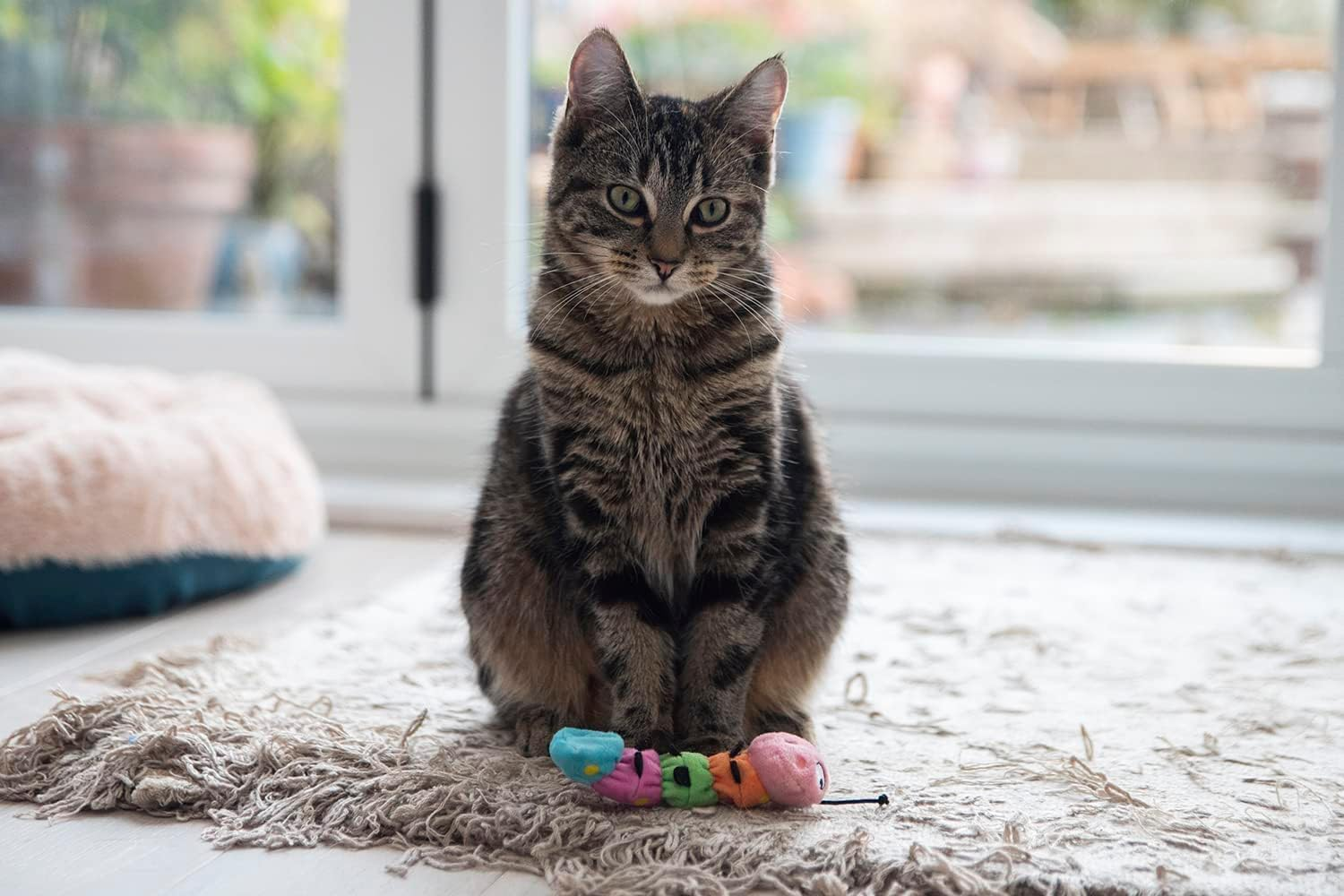 Gigwi Interactive Cat Toy 100% Organic Catnip Catapillar Toy for Cats and Kittens, for Indoor and Outdoor Cats - Multicoloured image number 3