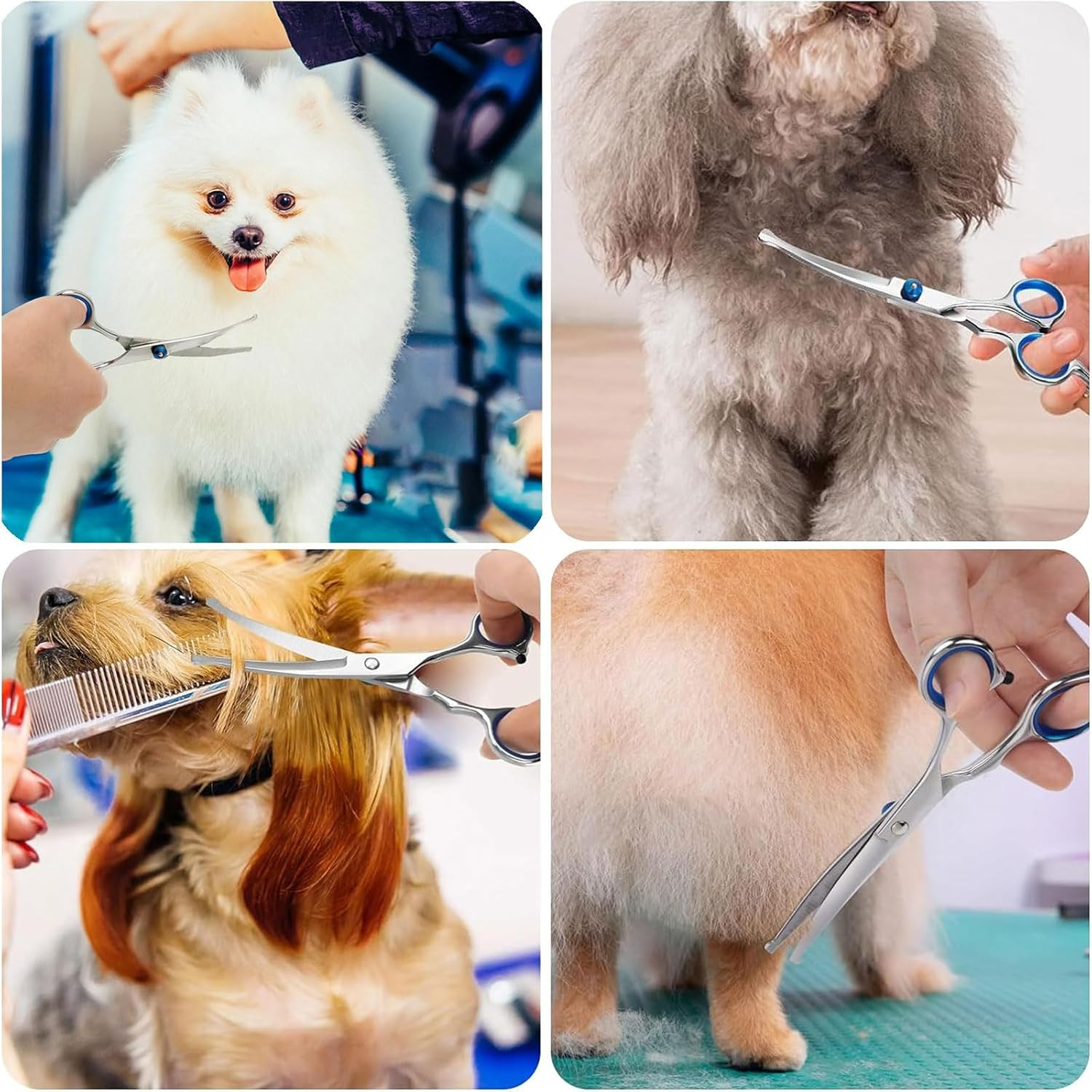 Curved Dog Scissors, Safety round Tip Grooming Scissors, Fur Scissors for Dogs, Grooming Scissors for Pets, Stainless Steel Fur Scissors for Dogs and Cats Kiuiom