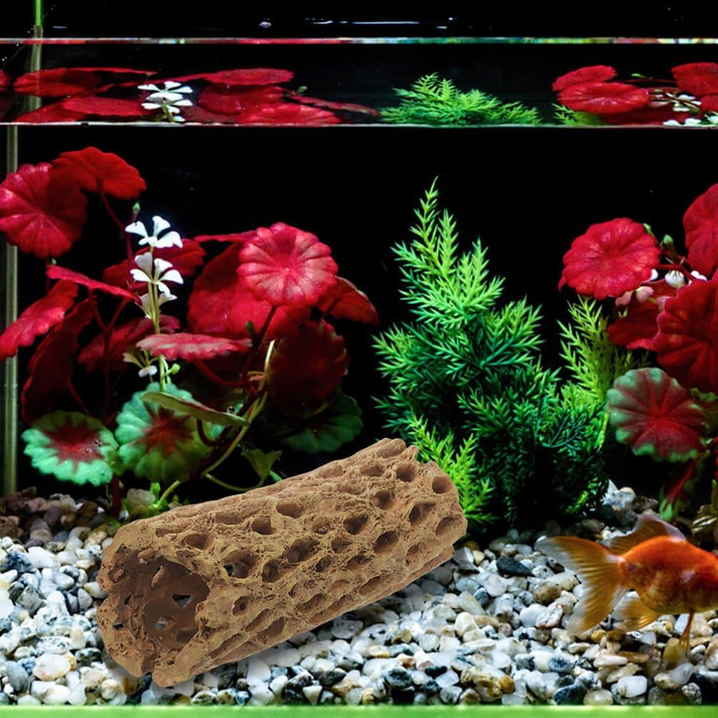 Milisten 2Pcs Natural Cholla Wood Logs for Shrimp Habitat Food Treat Hermit Crabs Plecos Aquarium Decoration Lowers Ph Hideouts Chew Toys Reptiles Thorn Dried Organic image number 5