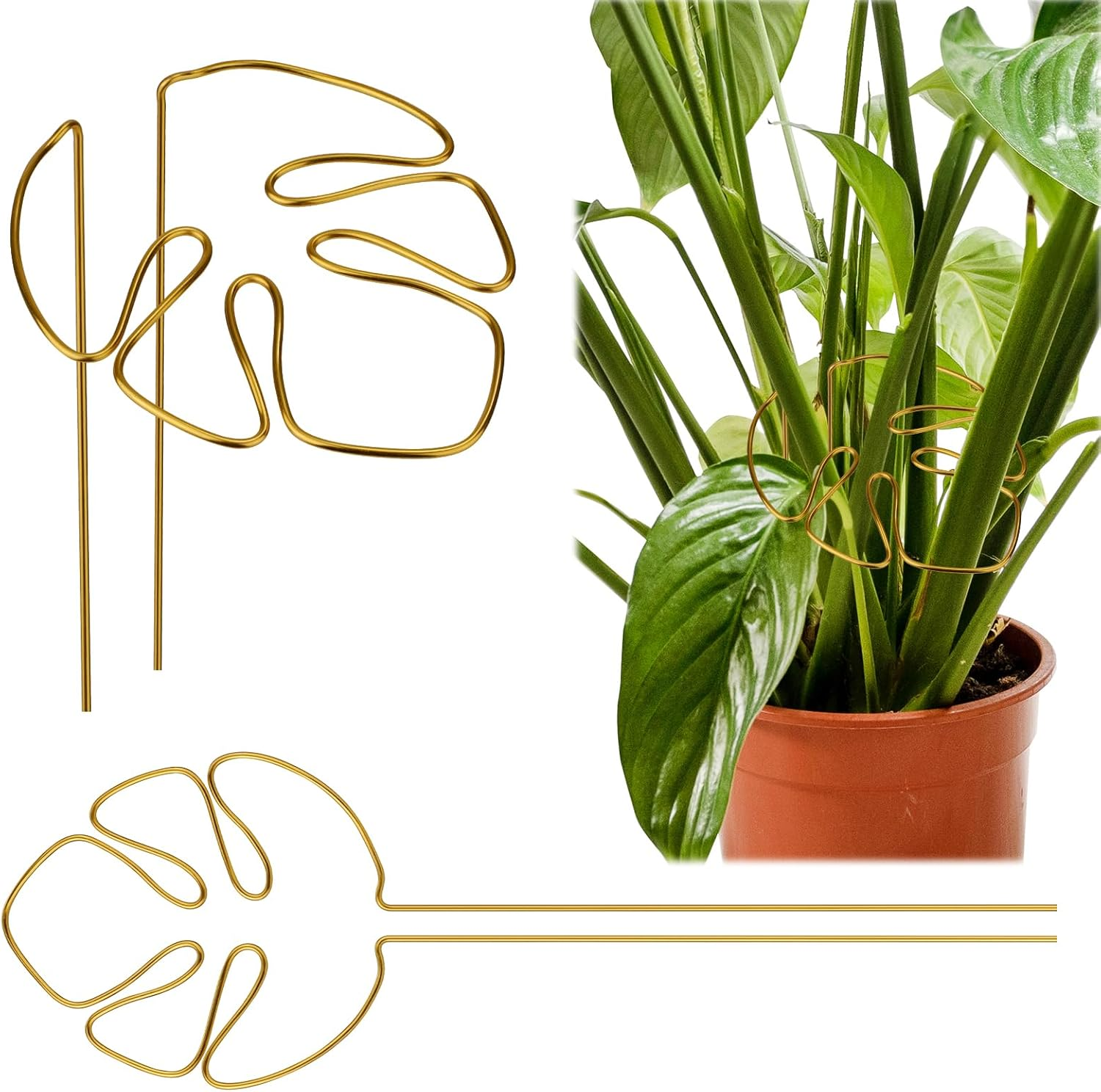 2Pcs Monstera Stand, Golden Stems Stands for Indoor Climbing Plants Reusable Plant Support for Indoor and Outdoor Plants image number 5