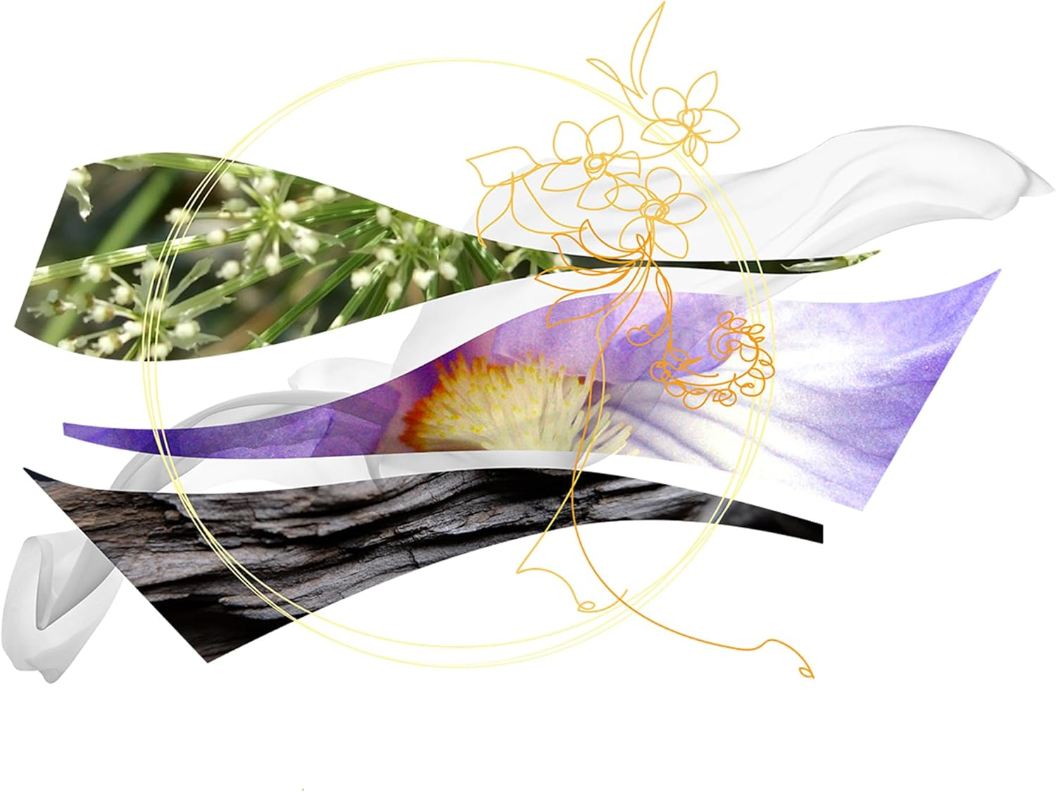 Savane Di Seta by Salvatore Ferragamo for Unisex - 3.4 Oz EDP Spray image number 1