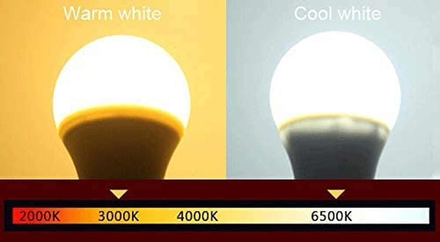 12V Low Voltage LED Light Bulbs - Warm White 7W(Only for 12-36V), Pack of 6 image number 6