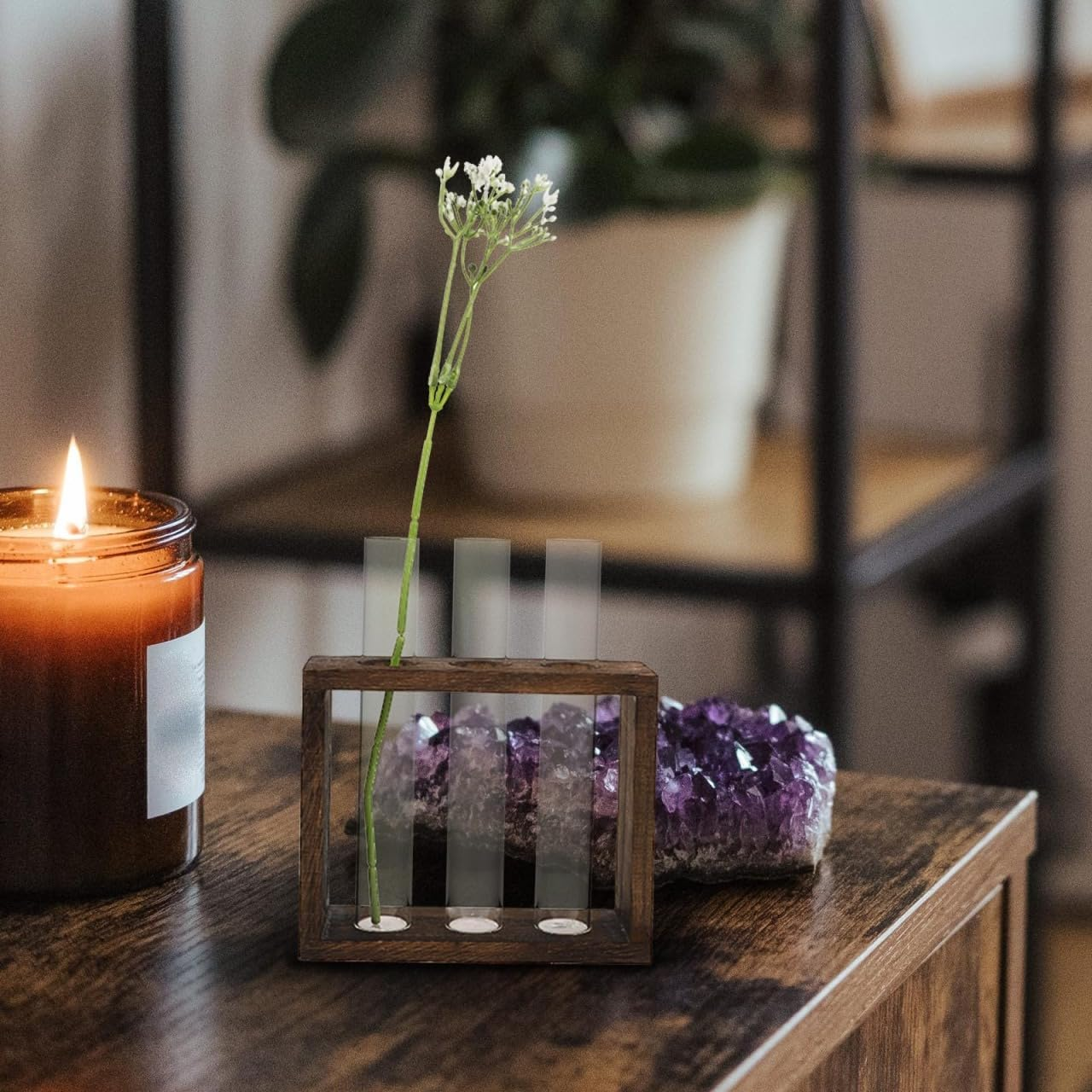 Cabilock Retro Wooden Rack Test Tube Vase for Hydroponic Plants, Glass Propagation Station for Flowers, Desktop Terrarium Decoration for Home, Office, or Restaurant image number 1