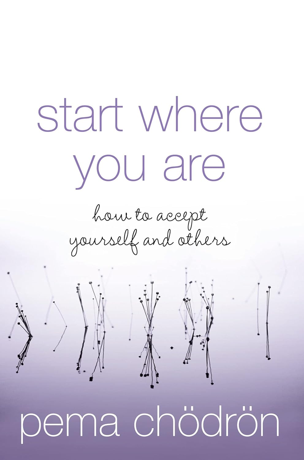Start Where You Are: a Guide to Compassionate Living image number 2