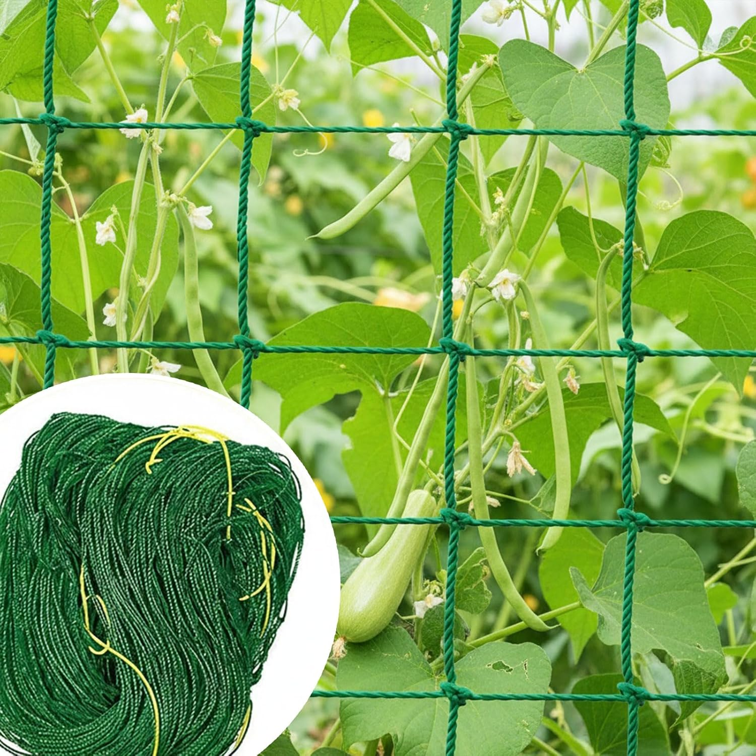 Heavy Duty Garden Trellis Netting for Climbing Plants &ndash; Durable Polyethylene (PE) Garden Netting Compatible with Cucumber, Bean and Tomato, Reusable Plant Support,Rectangular Netting by Ruibex image number 2