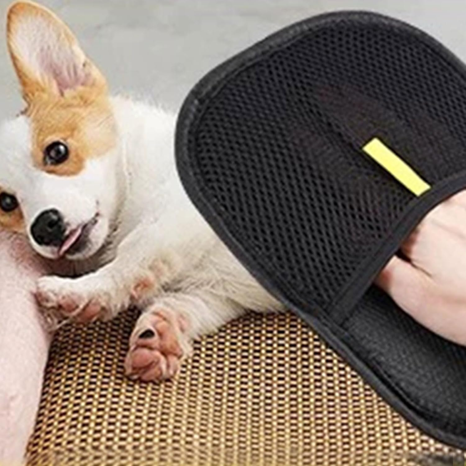 BGENHPON Pet Hair Remover Glove Reusable Silicone Double Sided for Cats and Dogs, Grooming Glove for Shedding, Bathing, Washing and Static Removal, 1PC image number 1