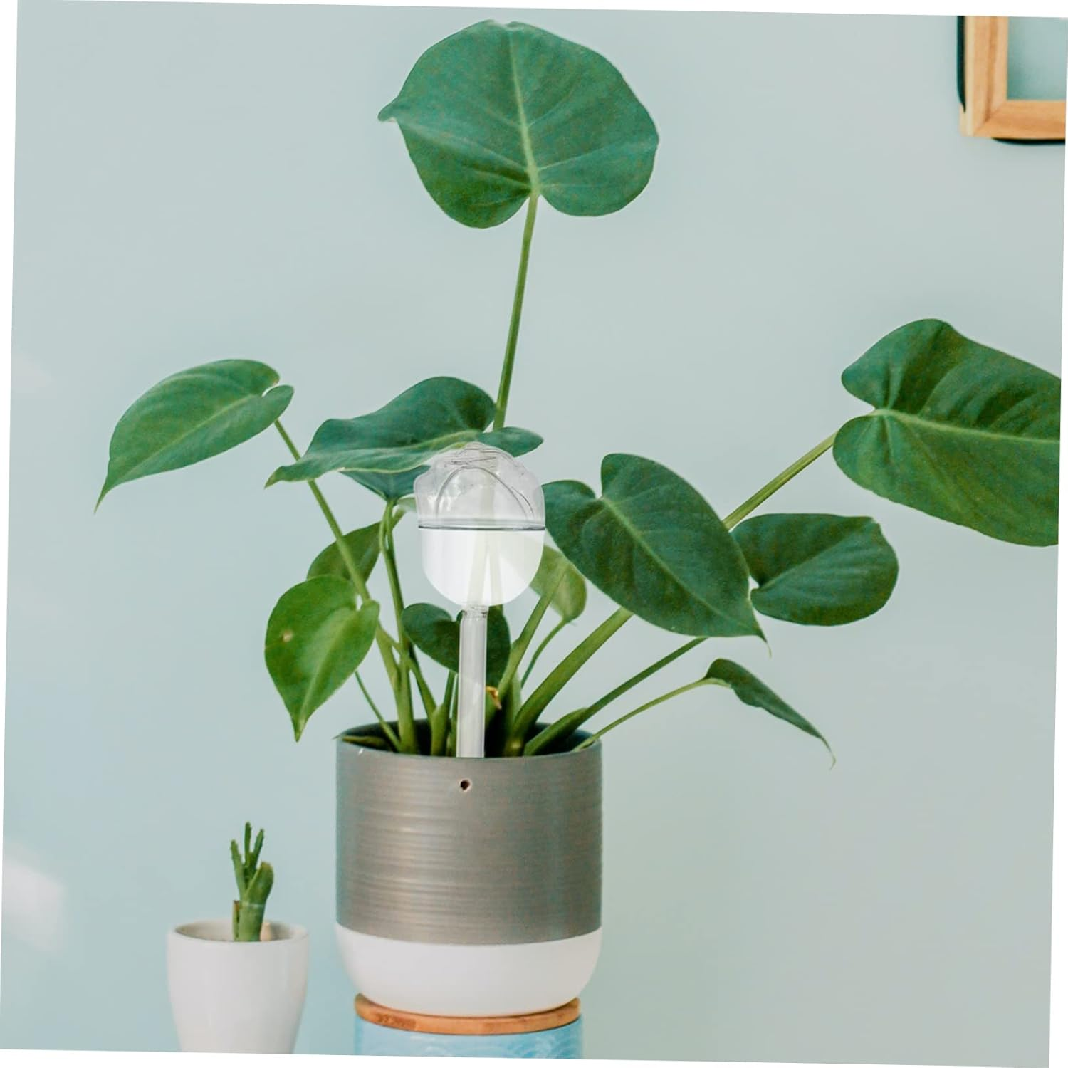 Happyyami Automatic Watering Machine Glass Plant Watering Device for Indoor Outdoor Use for Flower Plants image number 1