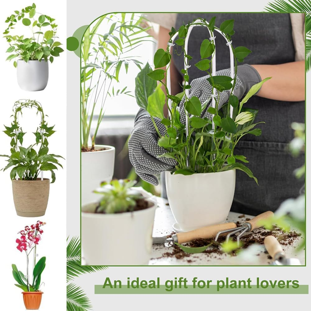 12-Pack Clear Acrylic Plant Trellis for Potted Plants,Indoor/Outdoor Climbing Support Stakes,Ideal for Hoya Pothos Ivy Monstera Philodendron image number 1