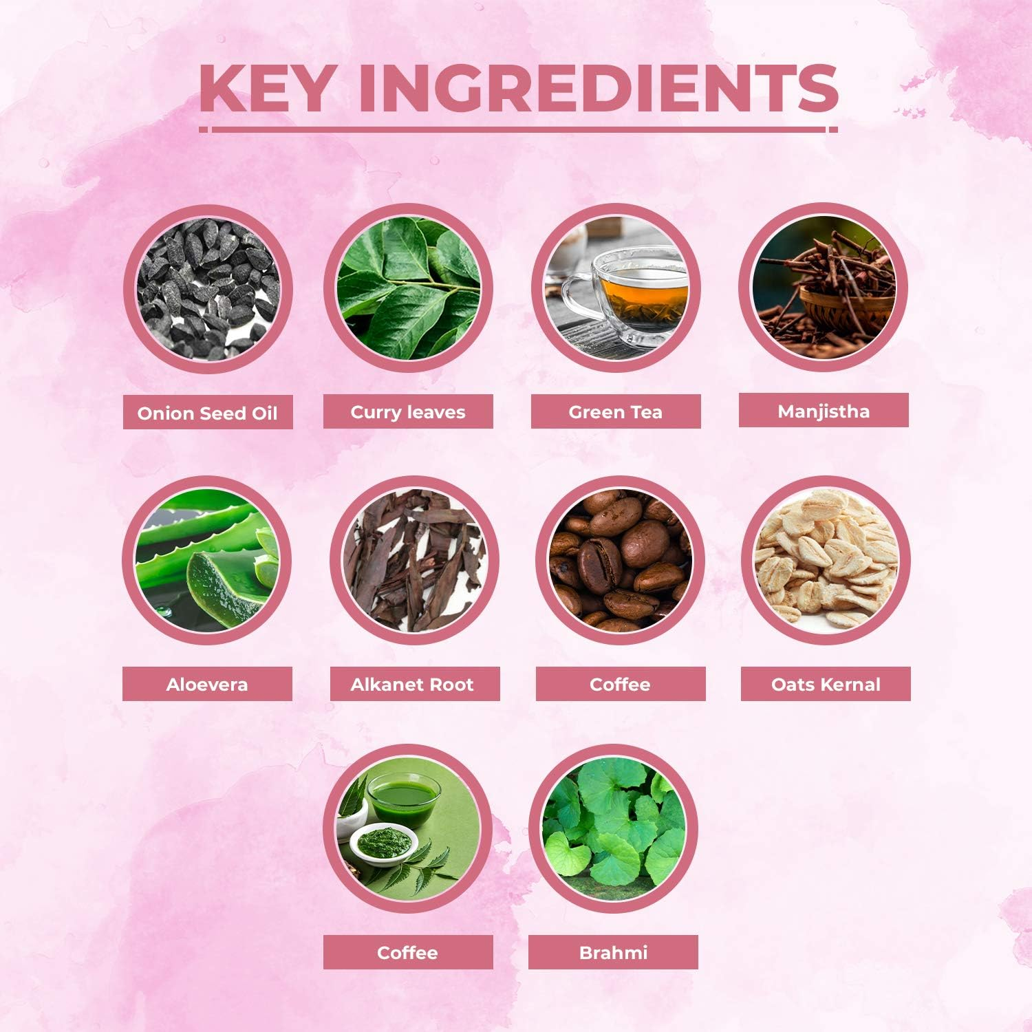 AE Naturals Roop Sundar Red Onion Hair Shampoo for Hair Damage 200 Ml image number 2