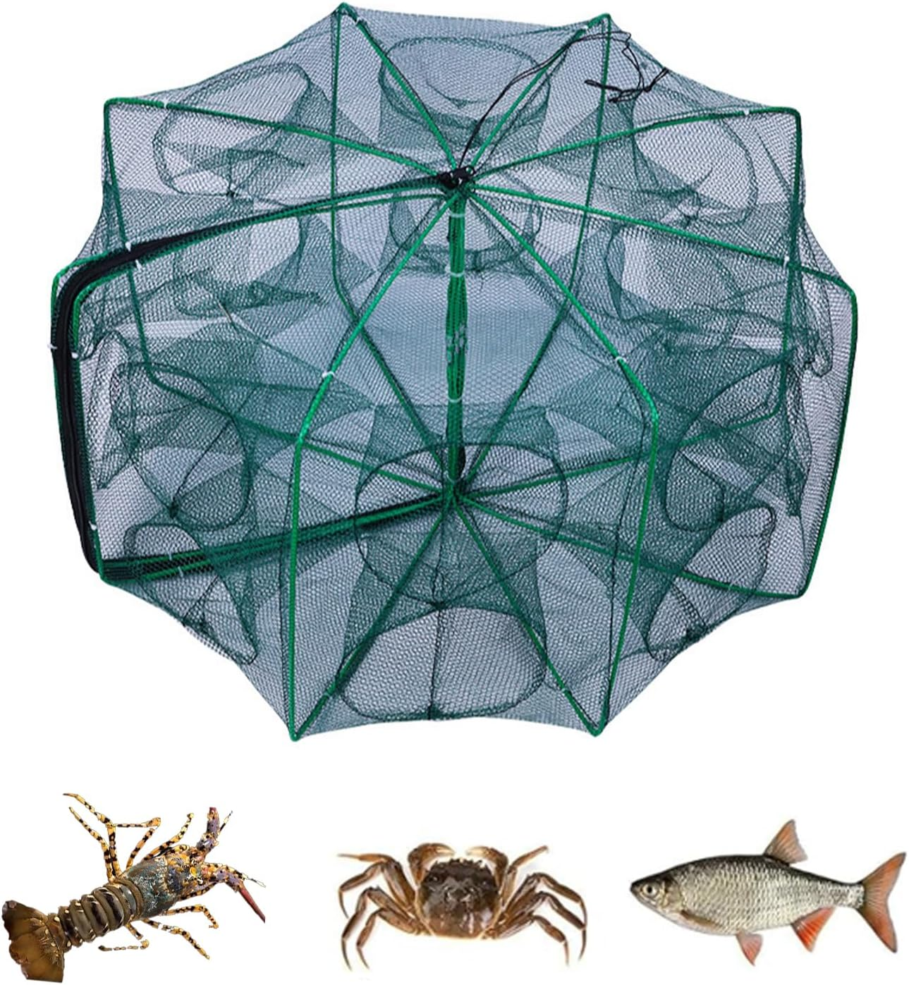 SUSOO Foldable Fishing Net with 10 Holes,Large 360&deg; Coverage Collapsible Bait Trap,Portable Nylon Fish Net Trap for Crayfish,Shrimp,Crab, Lobster and Minnow,Fishing Nets Use Easily in Second（32&rdquo;&times;10 &rdquo;） image number 2