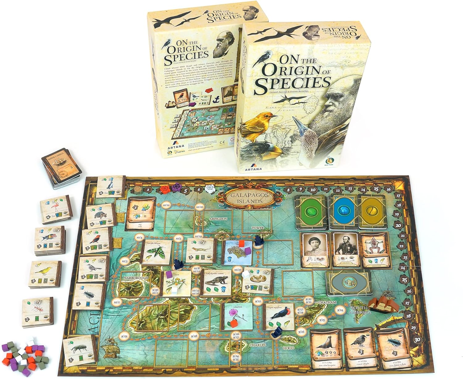 Artana on the Origin of Species Board Game image number 6