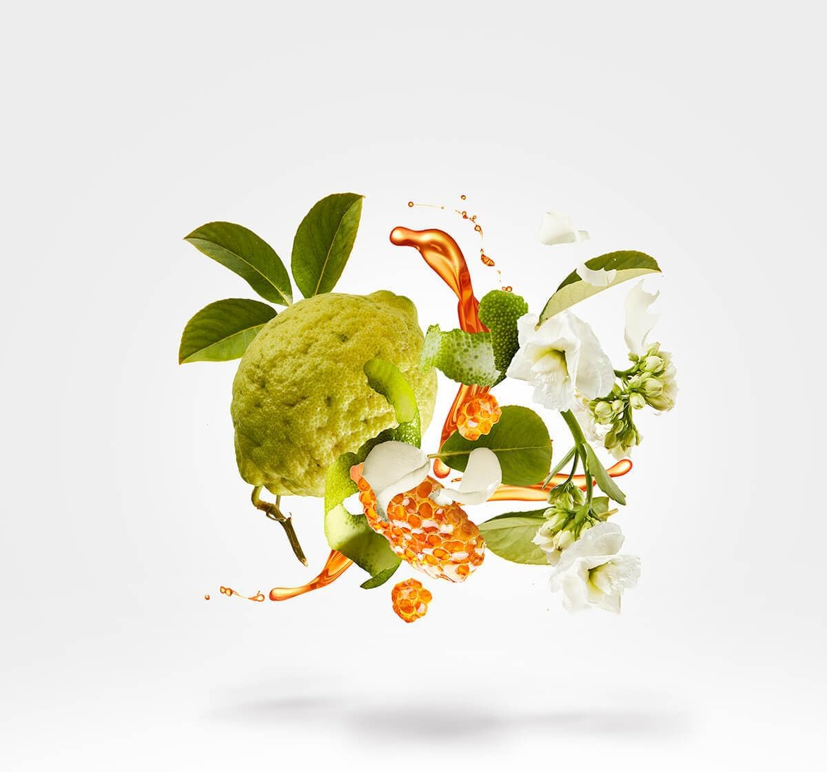 Xerjoff 1861 Naxos Eau De Parfum Spray for Unisex 100 Ml image number 5