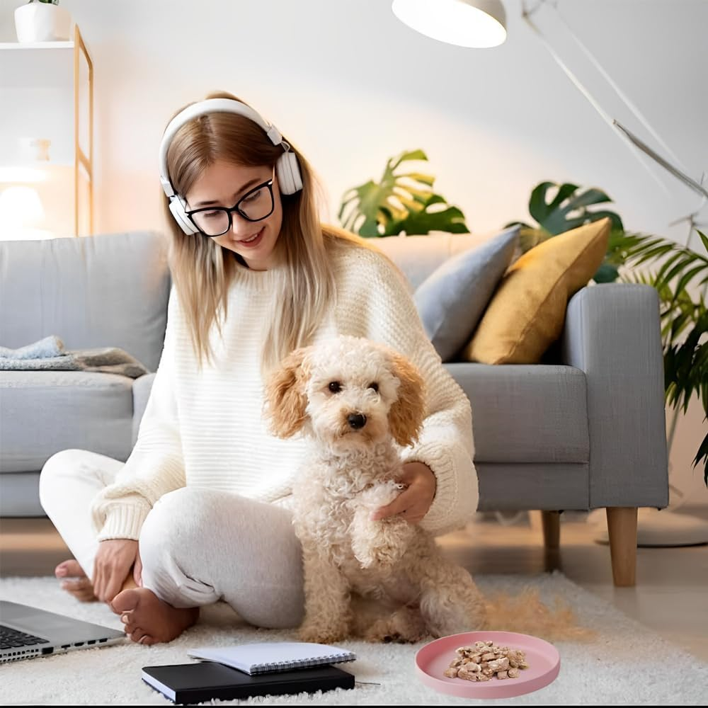 GIGIIS Cat Bowl Flat Silica Gel Pack of 2 Cat Bowls 18 X 16 Cm Feeding Bowl Dog Cat Bowl Flat Oval Cat Bowl for Dry Food and Wet Food - Pink + Grey White image number 1