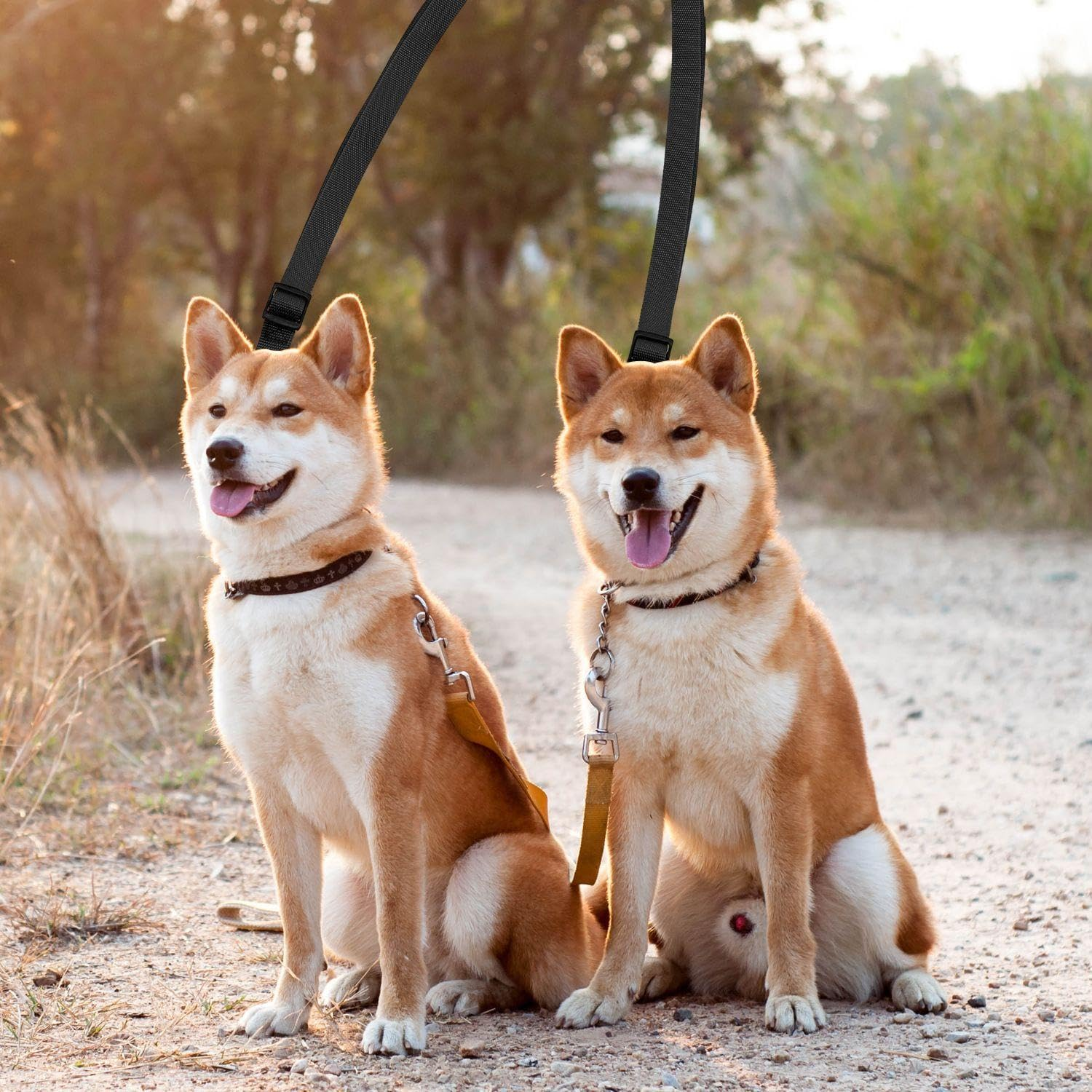 KSBBHDS 2 Pieces Double Wire Lead, Adjustable Lead, Pet Training, Dog Ice Supplies (Black, Red)