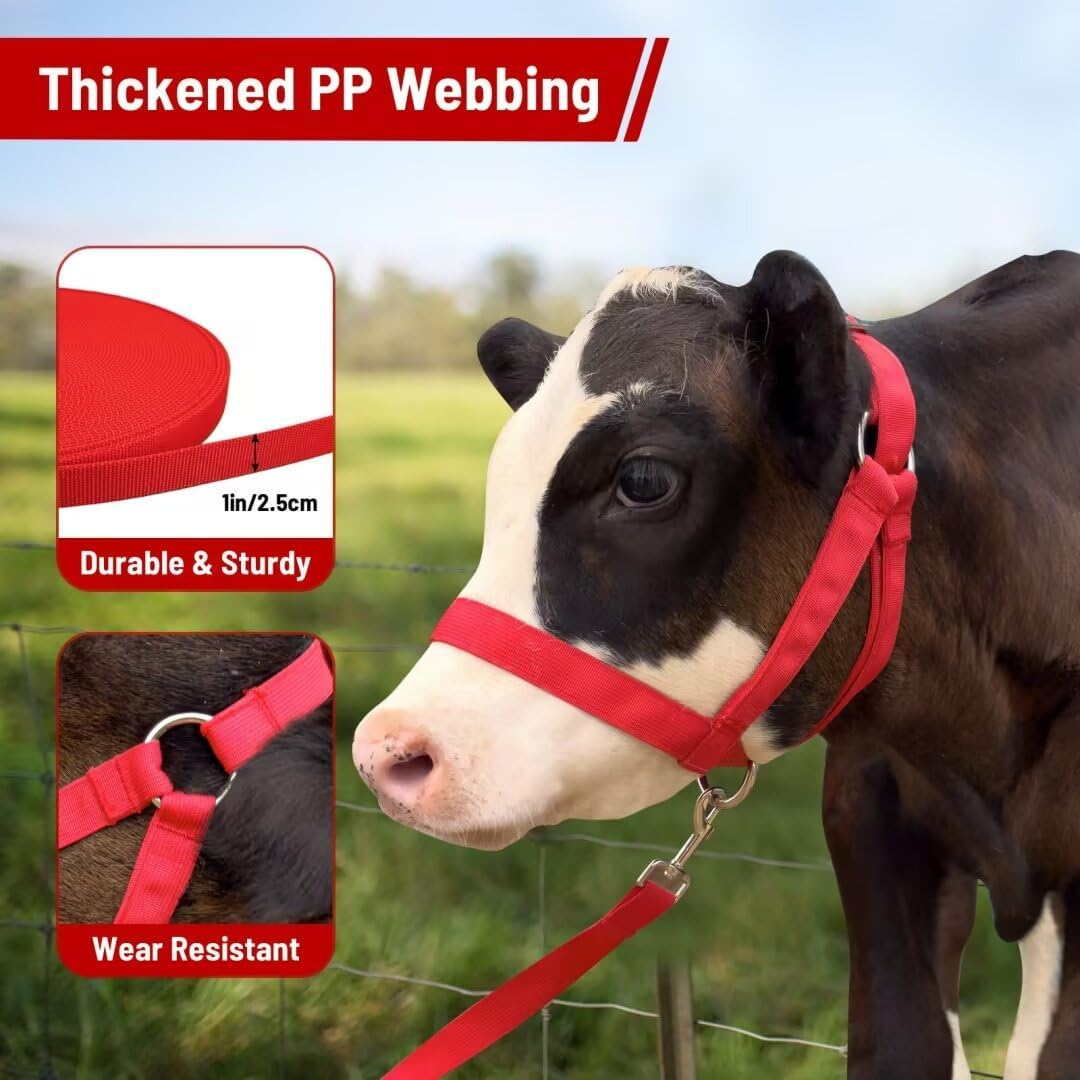 Perixir Cow Halter Cattle Halters Calf Halter，Adjustable Nylon Livestock Cattle Halter，For Miniature Horse Donkey Goat Foal image number 6