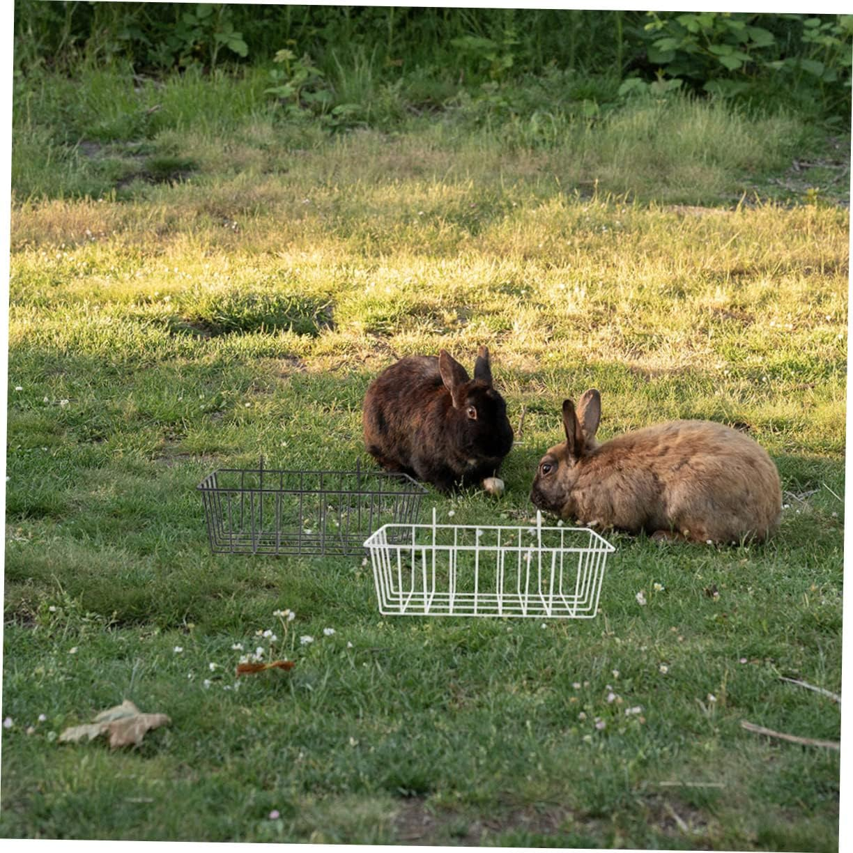 2Pcs Rabbit Feeding Hamster Accessories Ferret Accessories Chinchilla Bunny Grass Holder Chinchilla Feeder Ferret Feeder Holder for Rabbits Rack for Rabbits White image number 5
