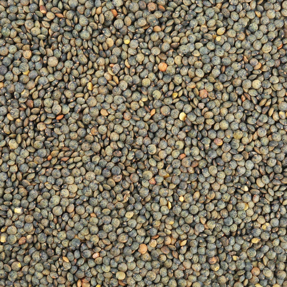 Honest to Goodness French Style Whole Green Lentils 500 G