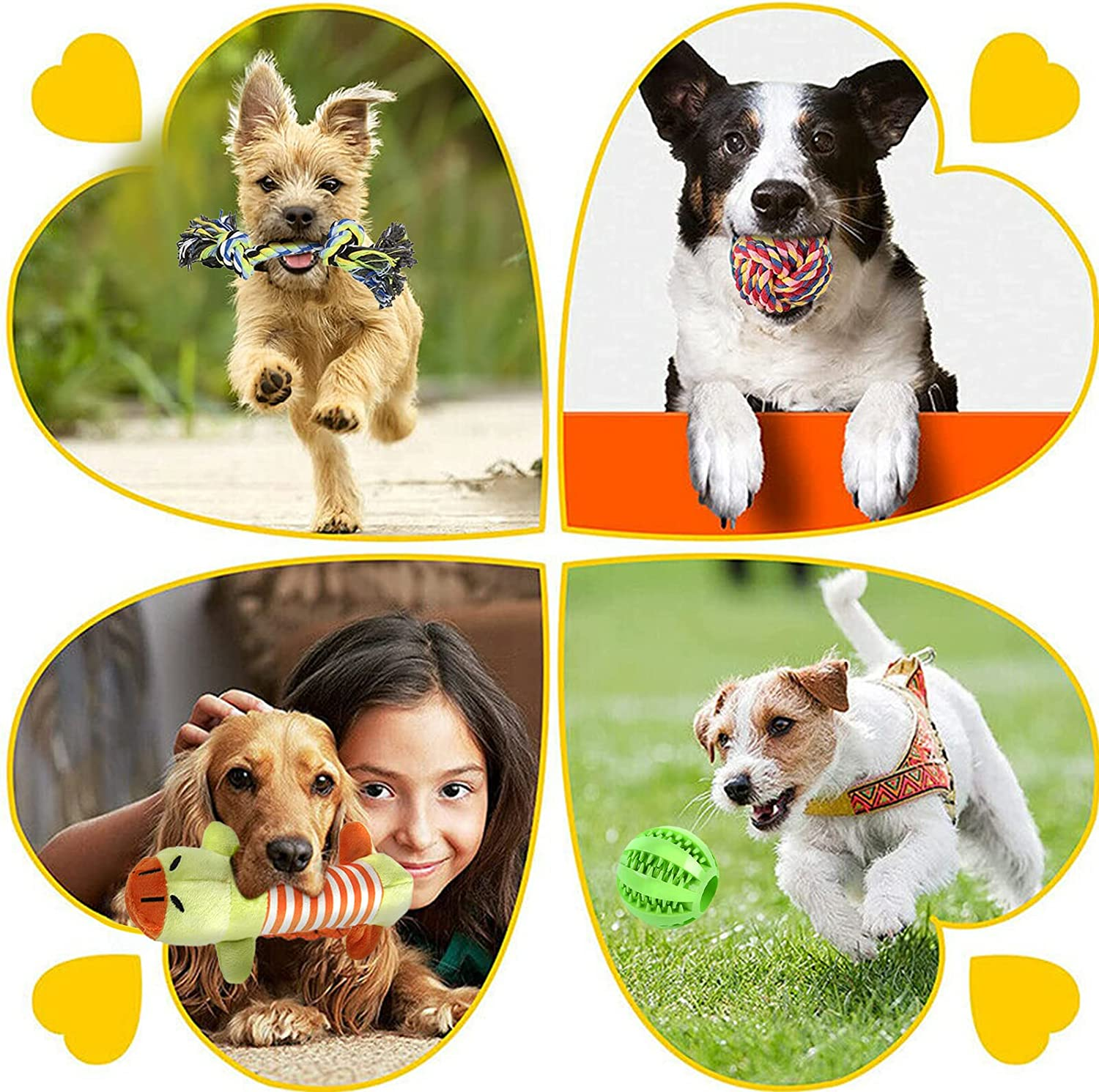 12 Pcs Dog Rope Toys Set, Durable Dog Rope Toys for Small Pets Dogs, Puppy Toys Set Dog Chew Toys for Interactive, Teething Training, Relieve Boredom and Stress for Small Medium Dogs