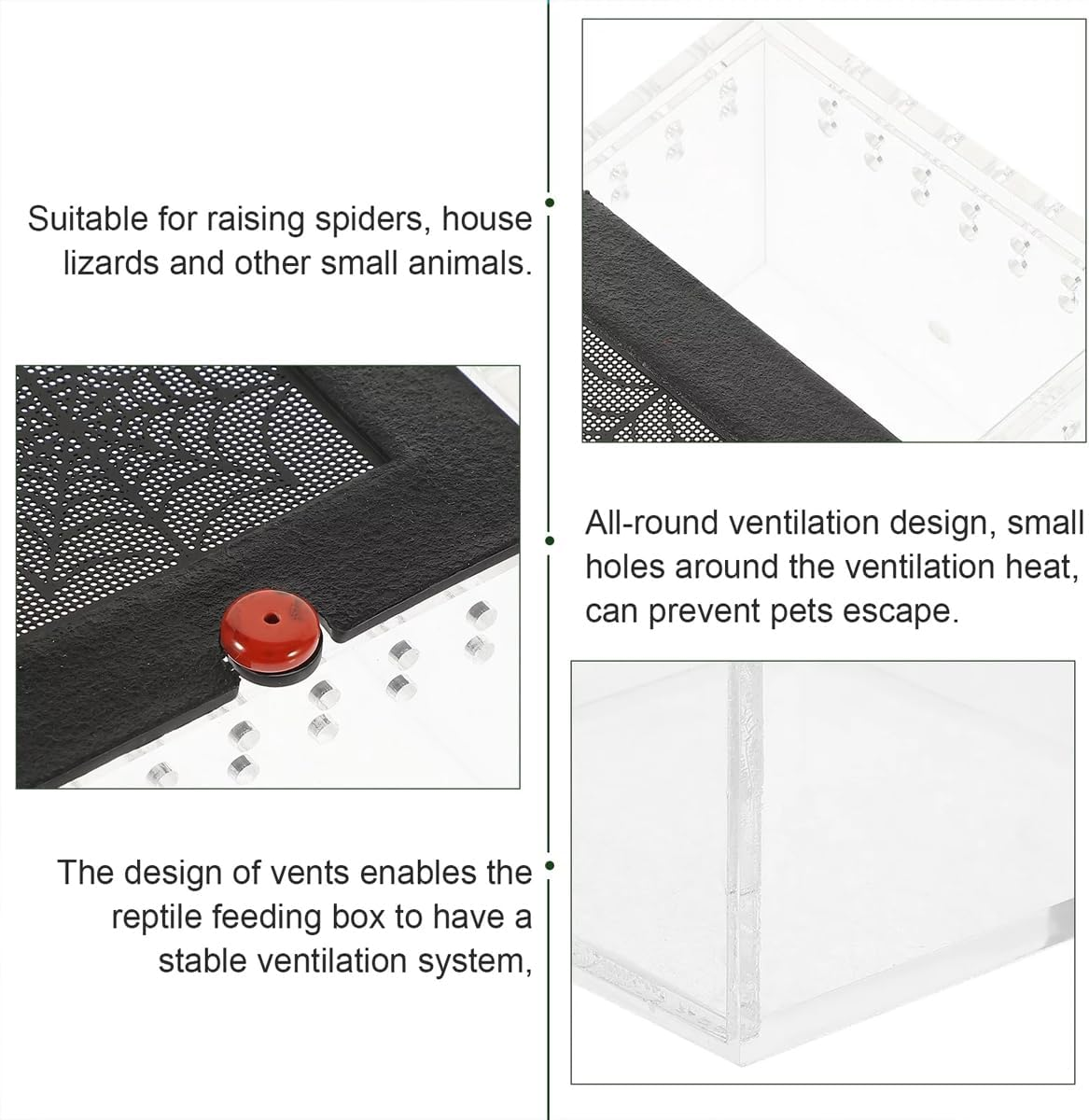 AIMALL Acrylic Reptile Climbing Pet Enclosure, Transparent Spider and Lizard Breeding Terrarium, Lightweight and Durable Design - Transparent image number 4