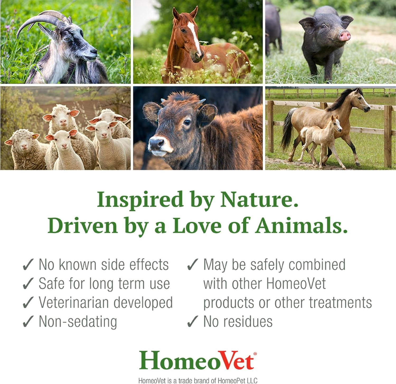 Homeovet Equine Sinus + 120 Ml - Horse Upper Respiratory Tract Relief Support for Nasal and Sinus Tract Health, Use for a Runny Nose, Watery Eyes, Sneezing and Congestion. Natural Horse Nasal Relief