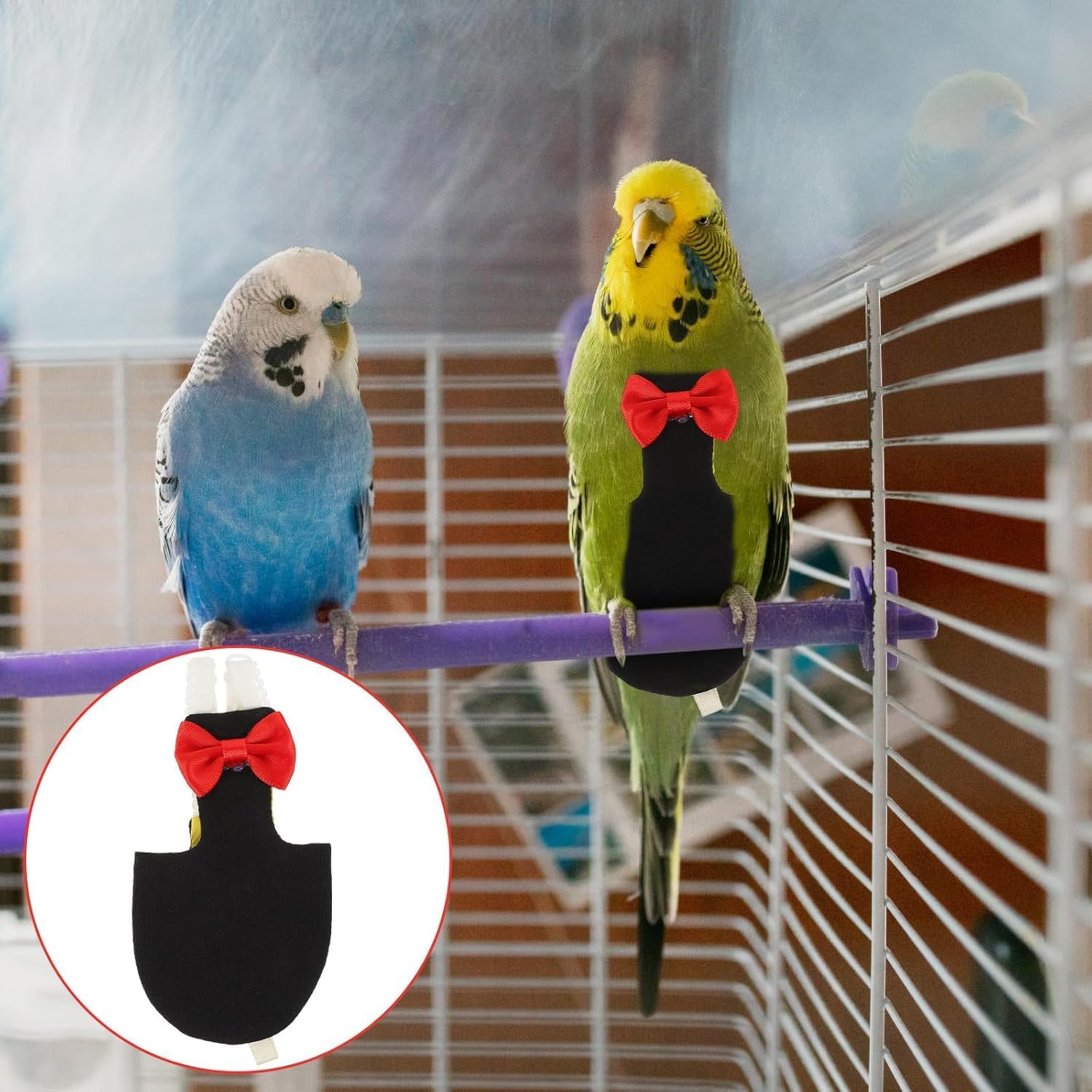 Bird Diaper Bird Flight Suit : Reusable Pigeon Diaper Bird Flying Clothes Washable Parrot Nappy for Parakeet Parrot Pigeons (L)