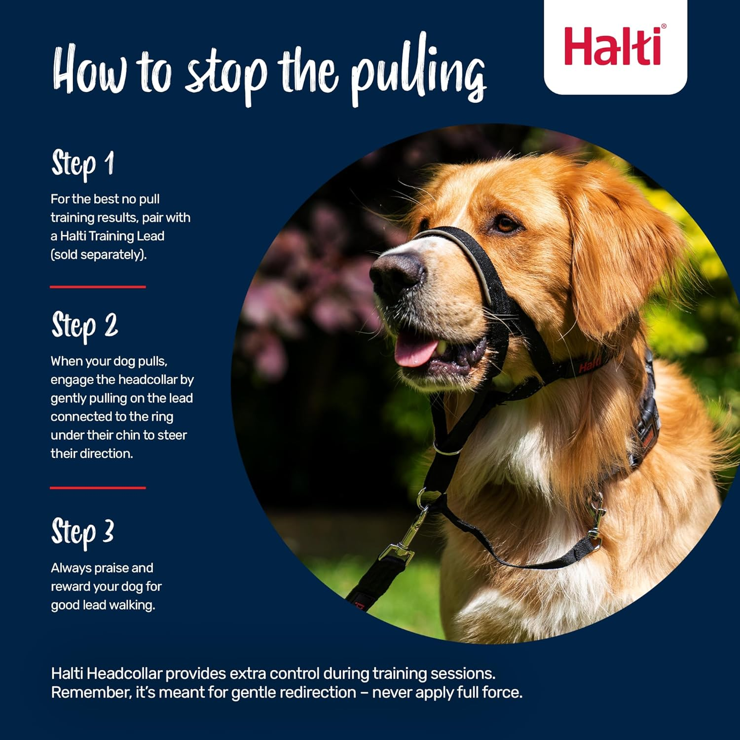 Halti Dog Training Headcollar, Red image number 6
