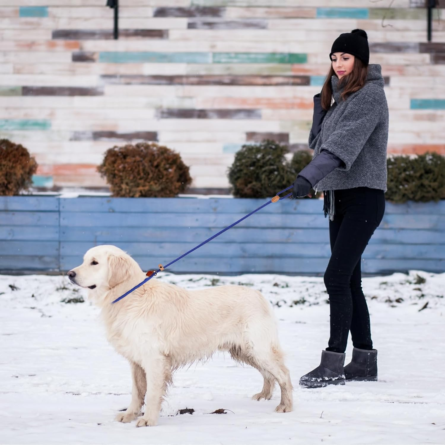 5FT Blue Polyester Dog Slip Leads No Pull Control Leash for Small, Medium, Large Dogs image number 3