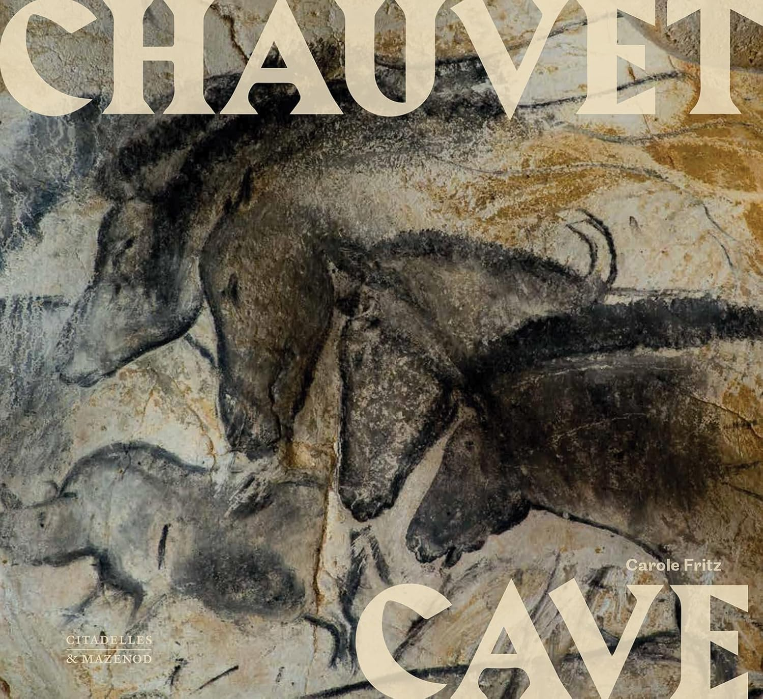 Chauvet Cave: Humanity'S First Great Masterpiece image number 4