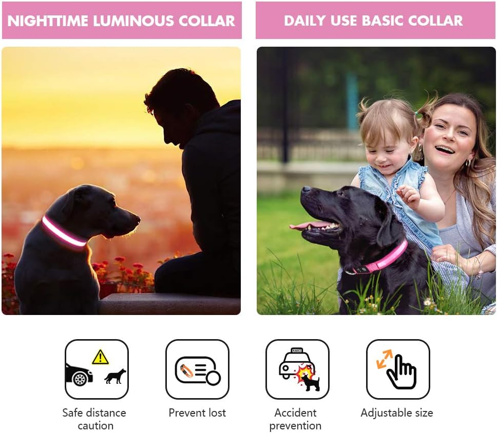 MASBRILL Light up Dog Collar-Rechargeable LED Dog Collar Night Walking Glow Collar Flashing Lighted Dog Collar for Small Medium Large Dogs image number 2