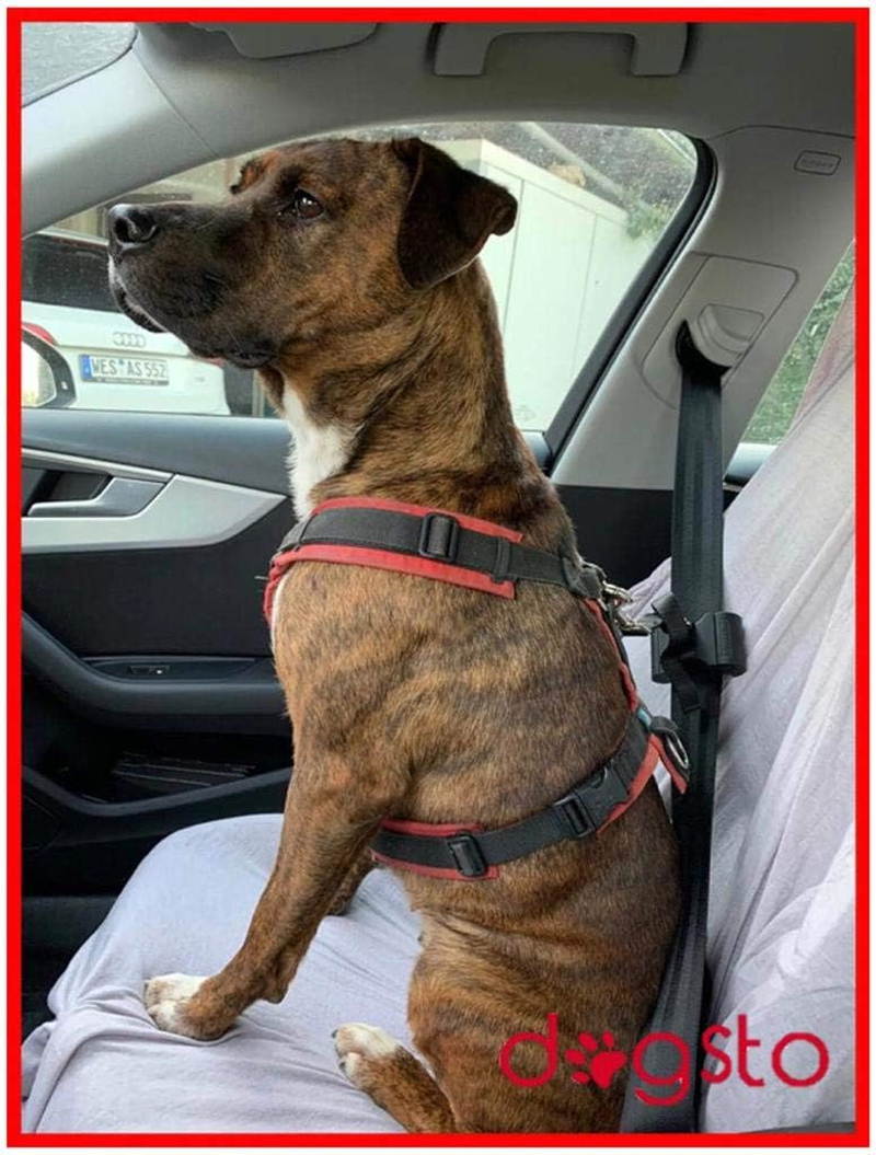 Dogsto Dog Seat Belt for Any Car with Central Attachment to the Seat Belt - Ideal Sitting Position