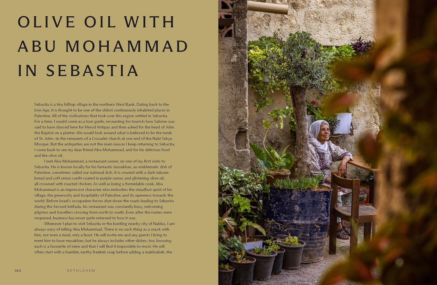 Bethlehem: a Celebration of Palestinian Food image number 1