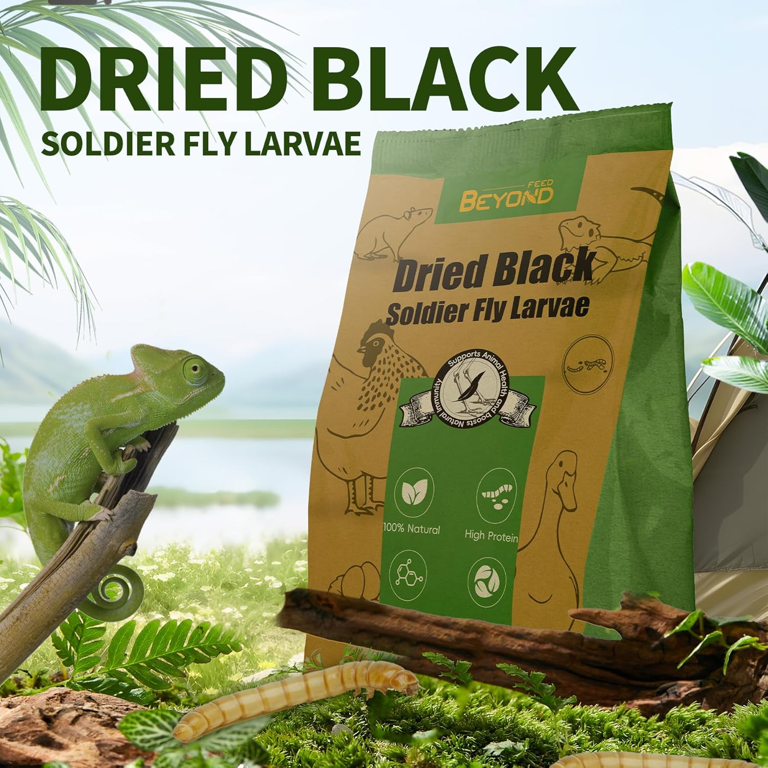 Beyondfeed&trade; 1Kg Dried Black Soldier Fly Larvae - Nutrient-Rich, Sustainable Feed for Chickens, Ducks, Birds, Reptiles, Fish, Hamster, Turtles and More (2.2Lbs/1Kg Package) image number 2