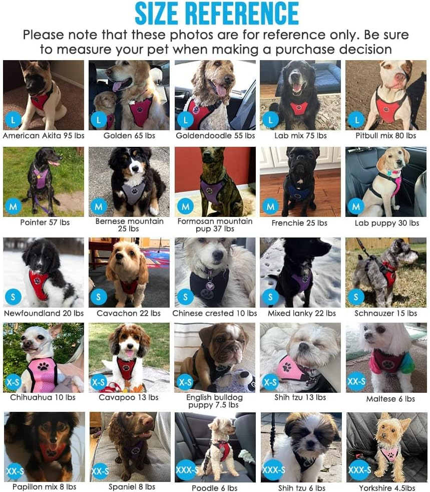 Slowton Dog Car Harness with Seat Belts, 2 in 1 Safety Adjustable Dog Seat Belts for Cars with Clip and Buckle, Breathable Mesh Pet Vest Harness Seatbelts with Secure Elastic Buffer for Travel