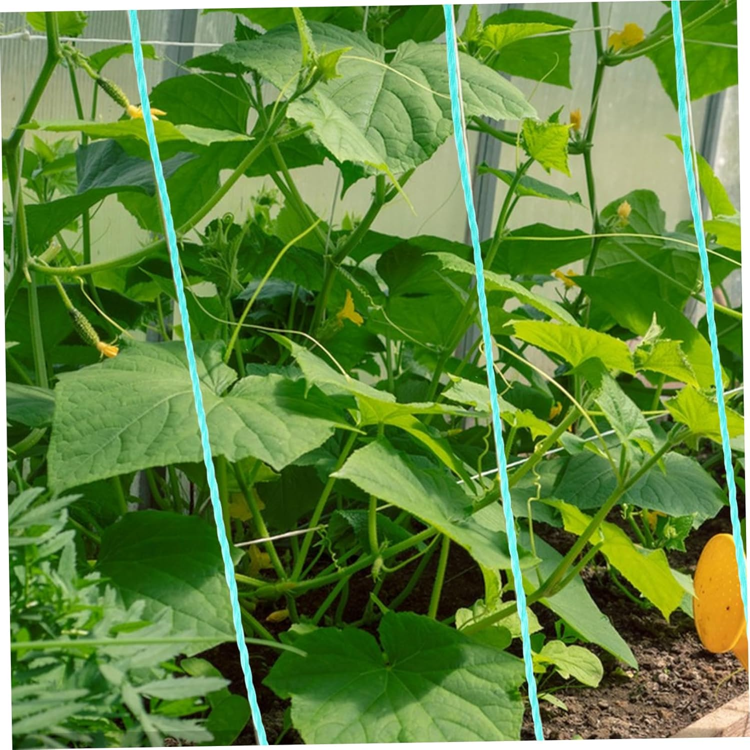 1 Roll Polyethylene Twine String for Climbing Plants Garden Twine Rope Fishing Net String Multi-Strand Green Rope for DIY Projects and Gardening Supplies image number 6