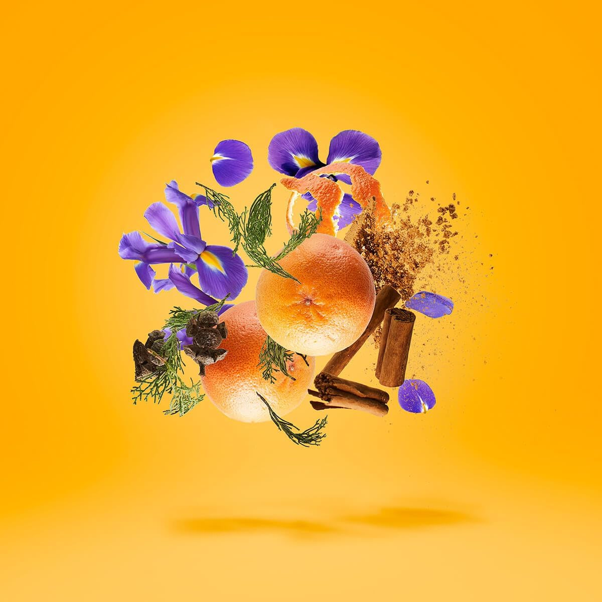 Xerjoff P. 33 Eau De Parfum Spray for Unisex 100 Ml