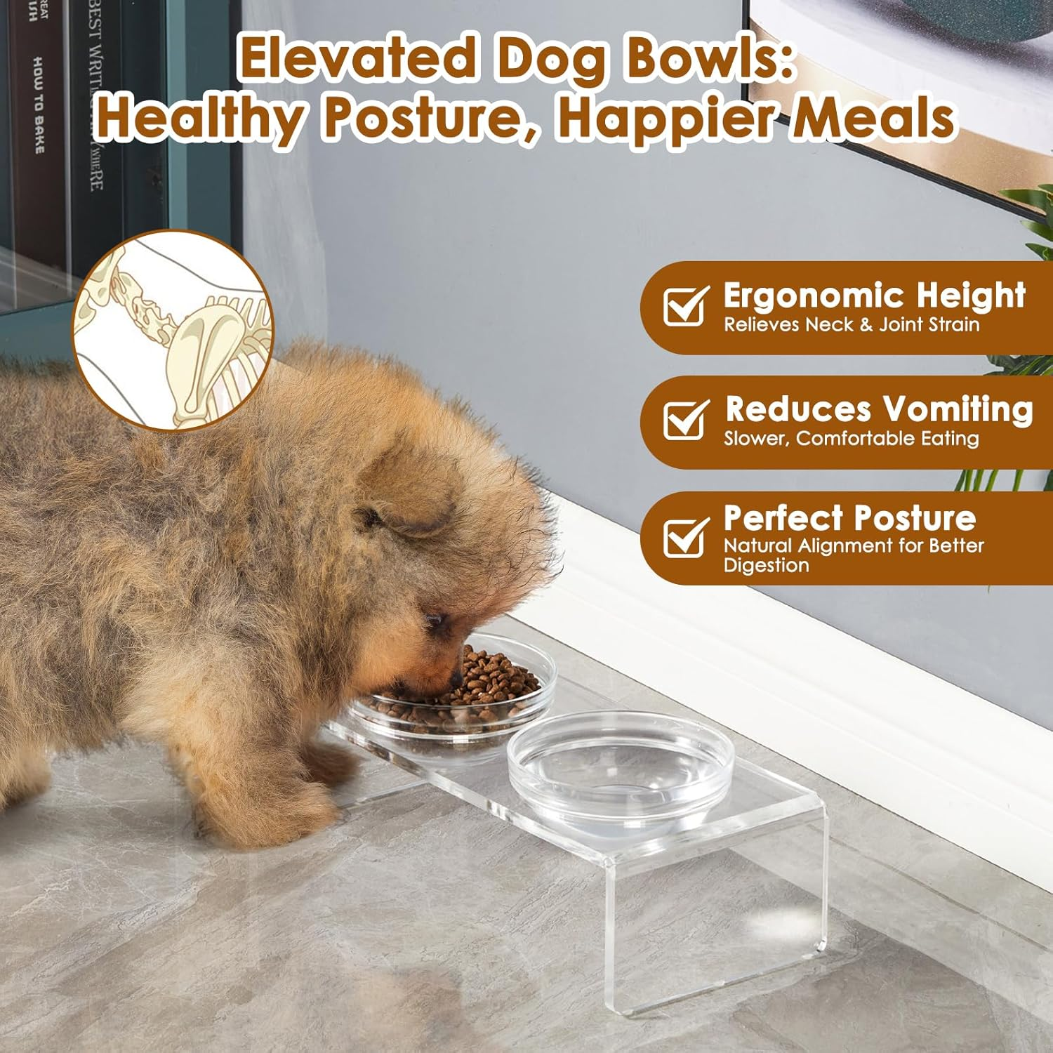 Acrylic Elevated Dog Cat Bowls Pet Feeder Double Bowl Raised Stand Comes with 2 Removable Glass Bowls and 2 Stainless Steel Bowls.Perfect for Cats Puppies Small Dogs