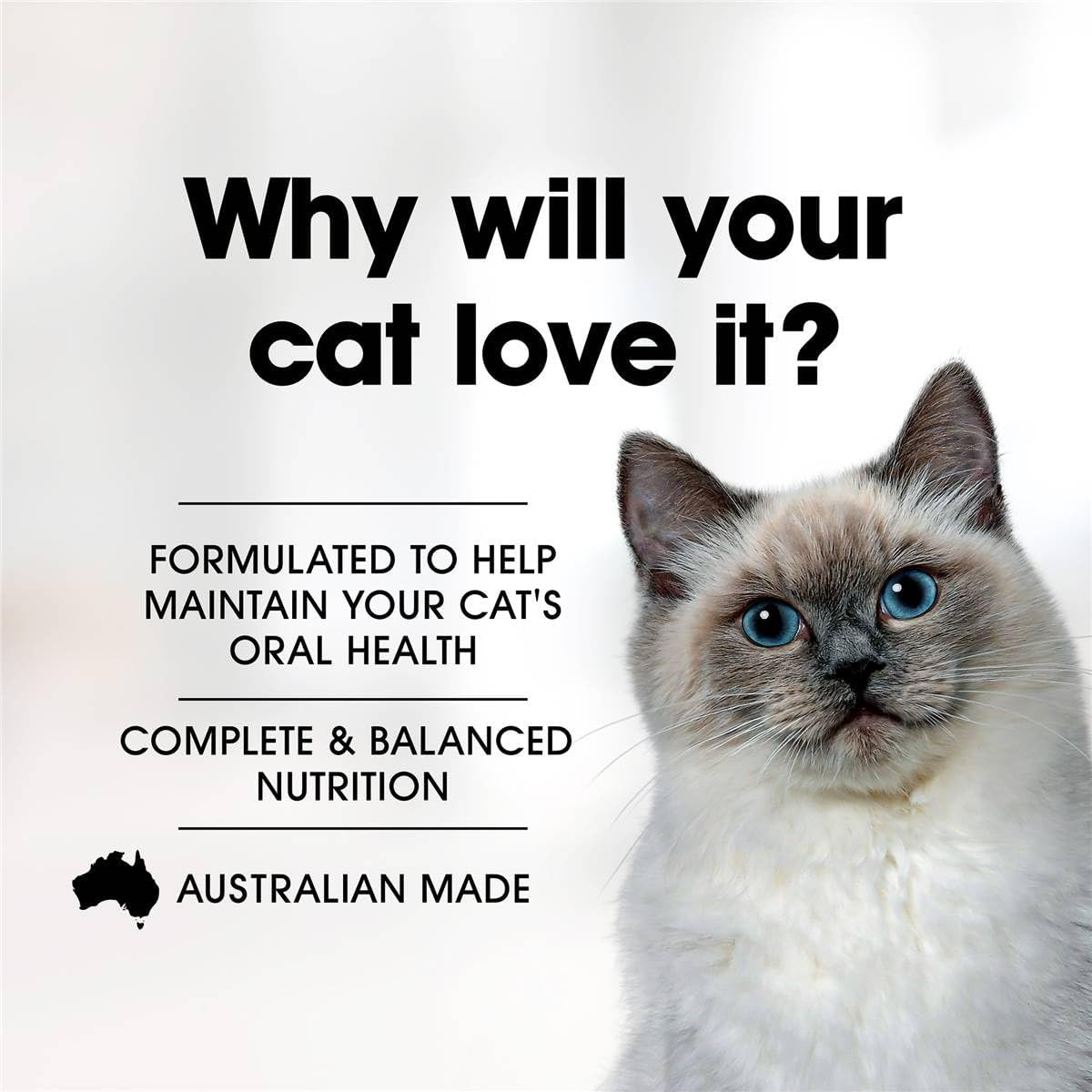 Fussy Cat Grain-Free Beef Kangaroo and Sweet Potato Dry Cat Food 500 G image number 4