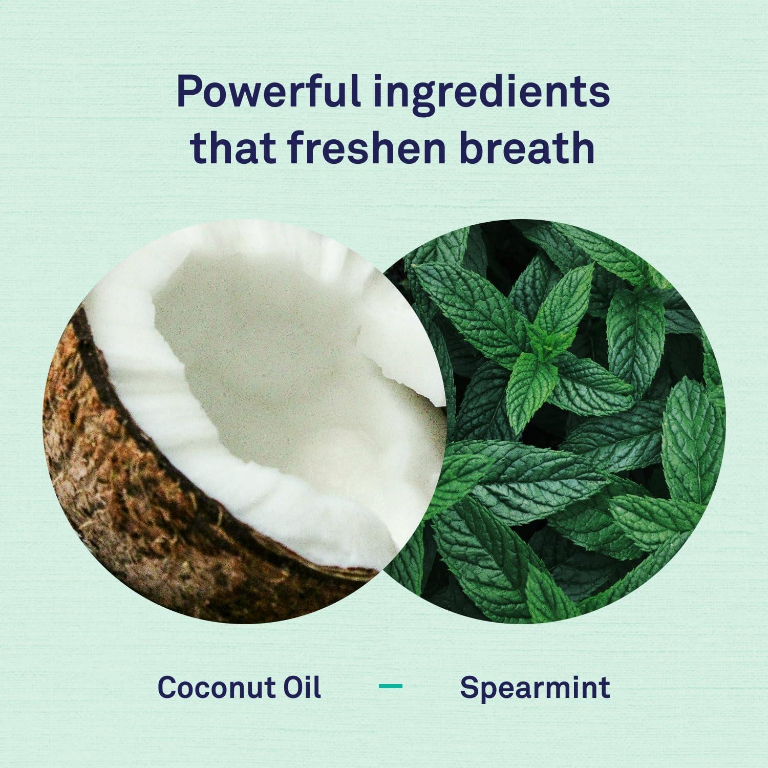 Petpost | Toothpaste for Dogs - Coconut Oil and Baking Soda Based Dental Gel That Naturally Eliminates Bad Breath - Dirt, Gunk, and Tooth Buildup Gone - Mint Flavor 113 G image number 1