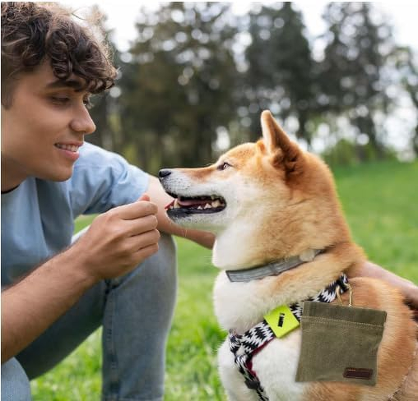 Dog Treat Bags Training Pouch Portable Puppy Dog Training Treat Pouch Auto Closing Pet Snack Reward Pocket Dog Food Dispenser Treat Pouches for Pet Training Travel or Outdoor Use image number 1